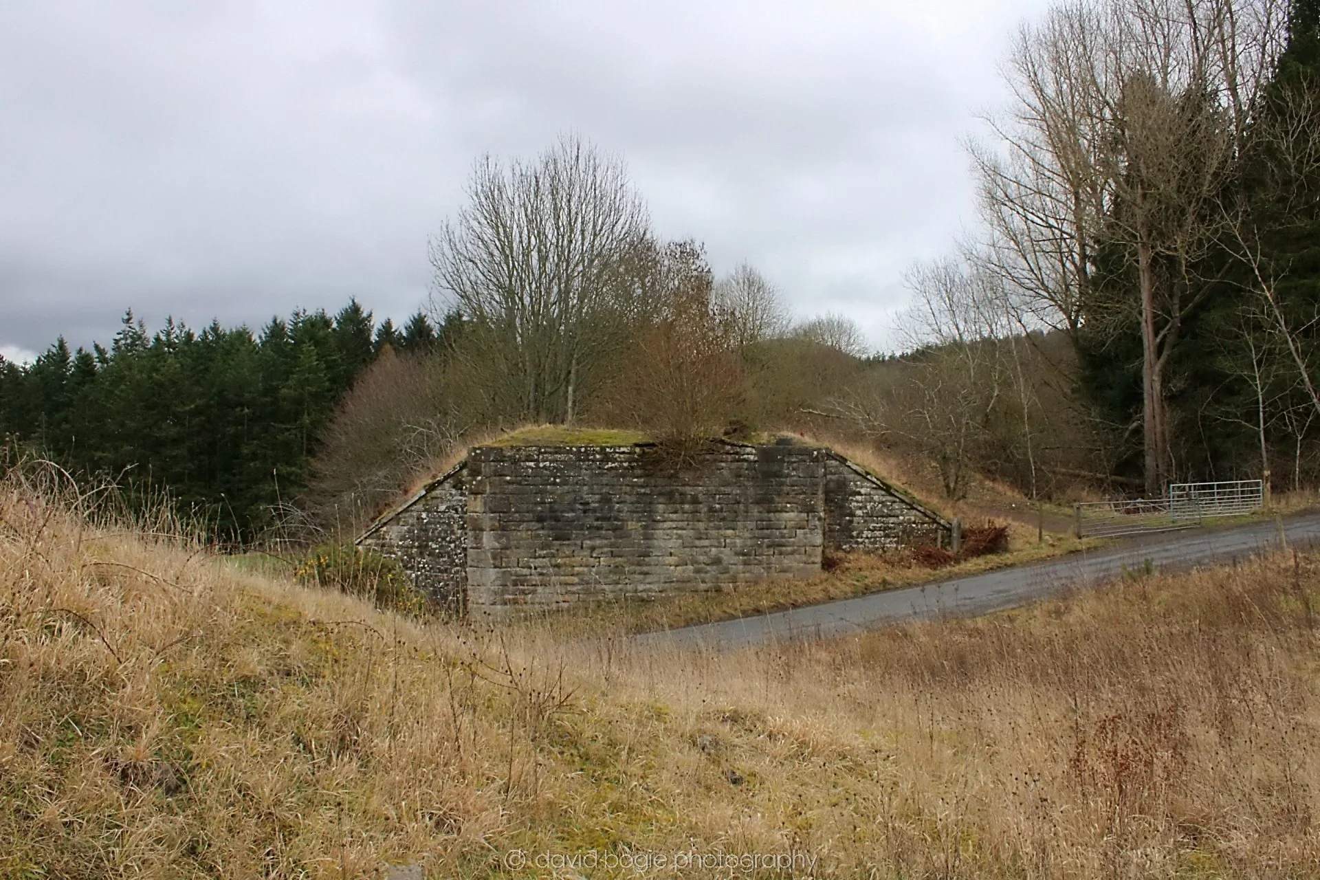 20190219 121346 Glenfarg 0020.jpg