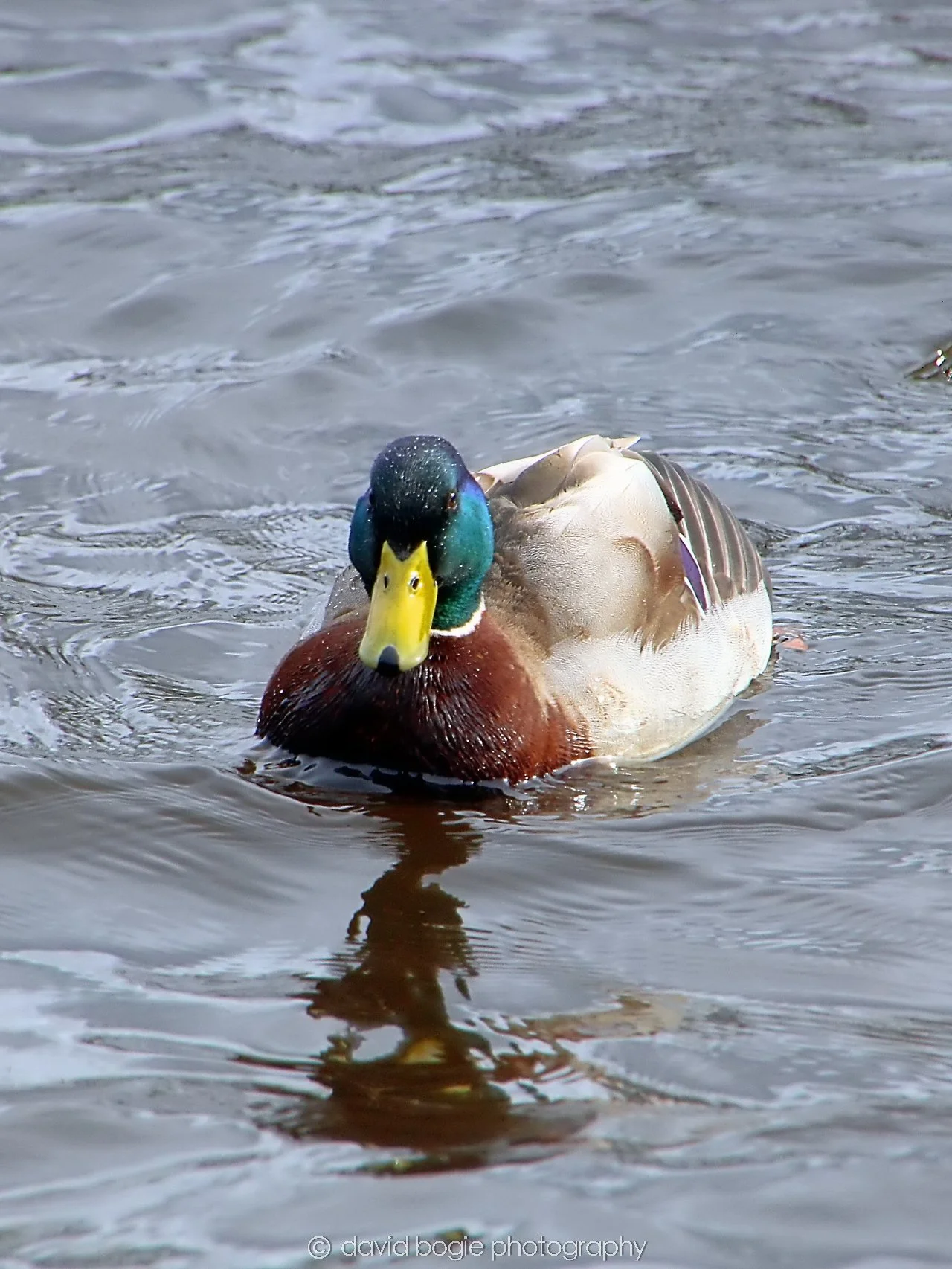 YEAR20240316 144246 Lochore Meadows 0011.jpg