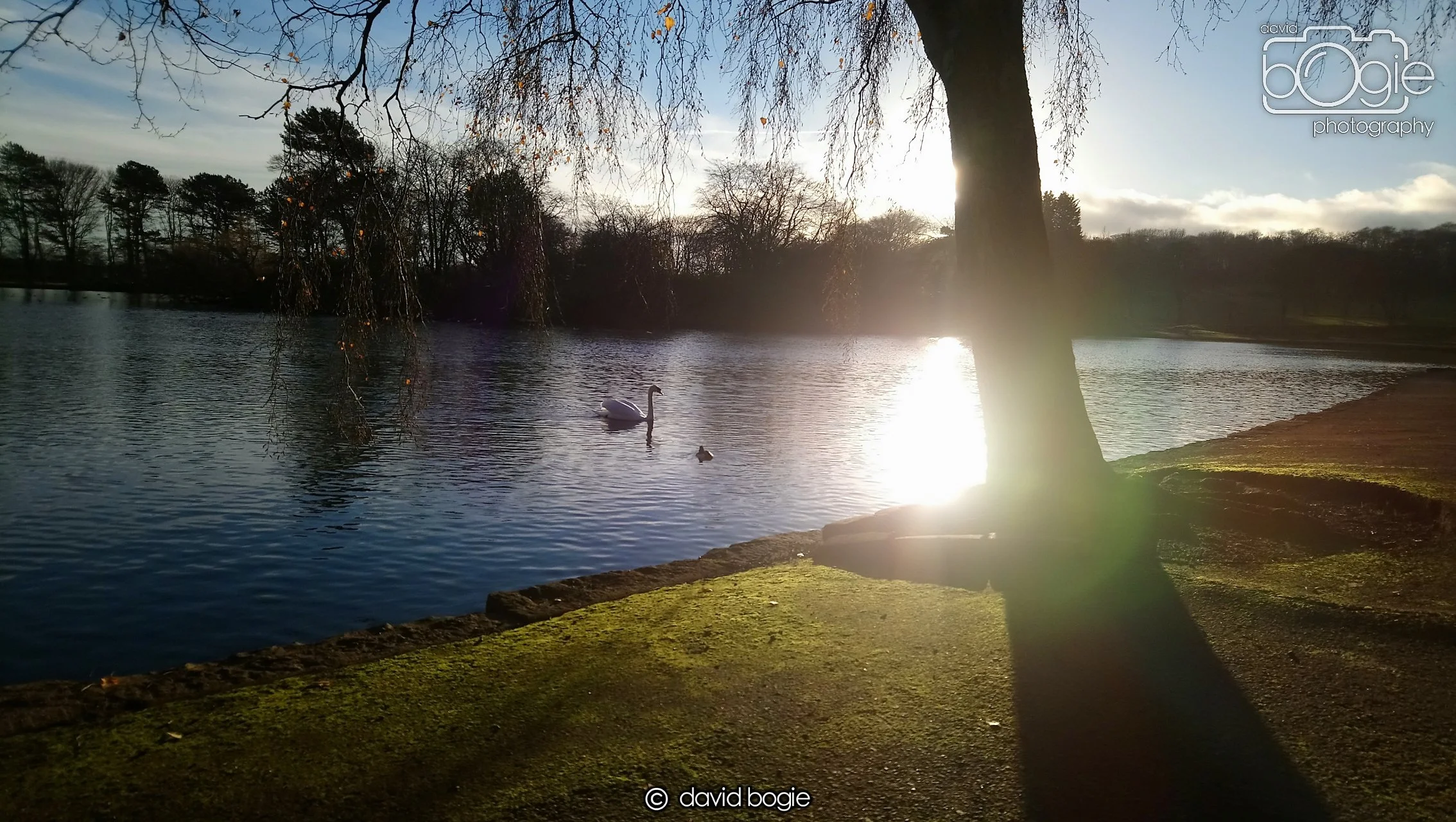 20181204 135028 Beveridge 0001.JPG