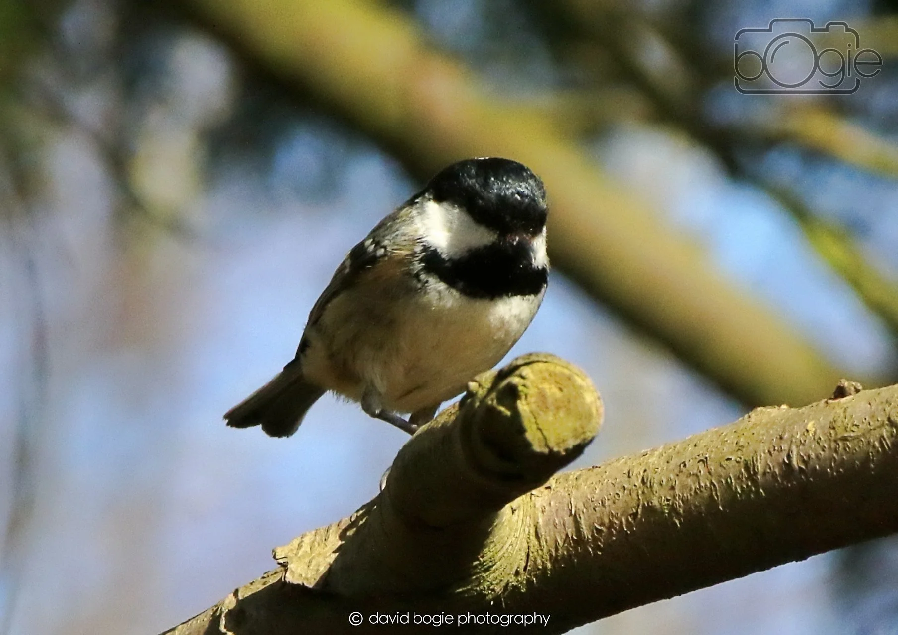 20260403 121453 Dunnikier 0094.jpg