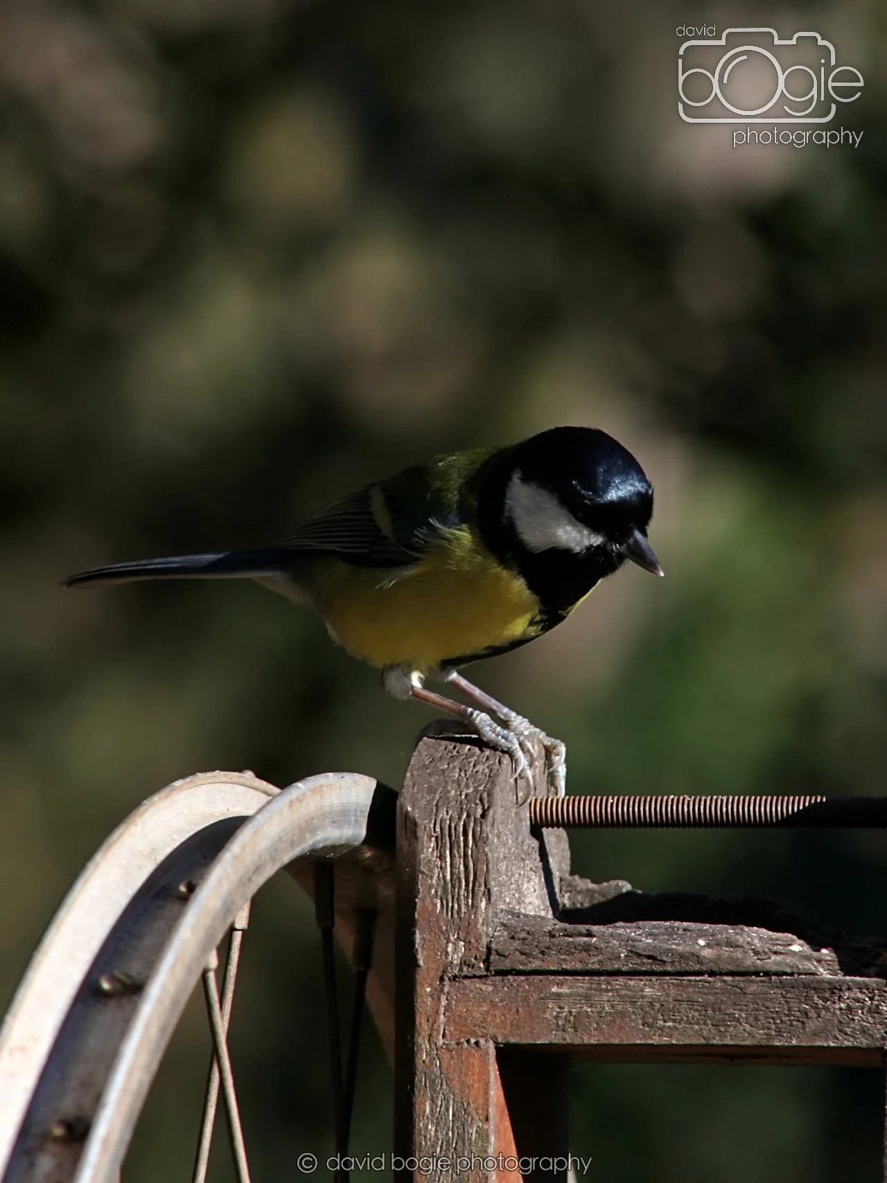 20251125 133818 Silverburn 0105.JPG