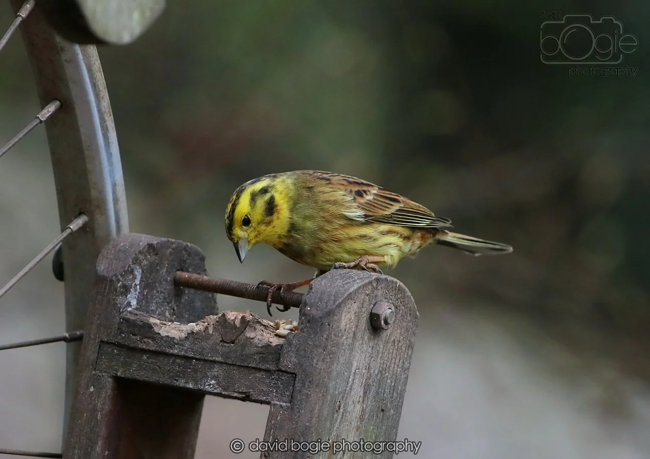 20260215 132441 Silverburn 0146.jpg