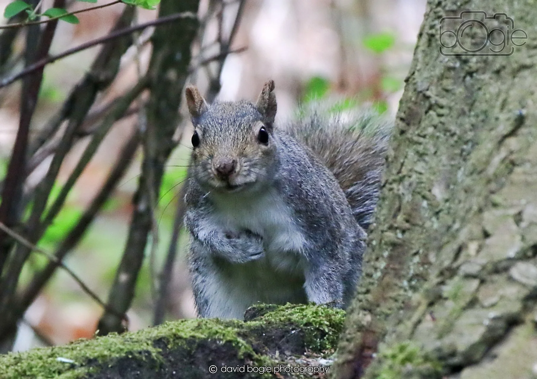 20260403 130501 Dunnikier 0360.jpg