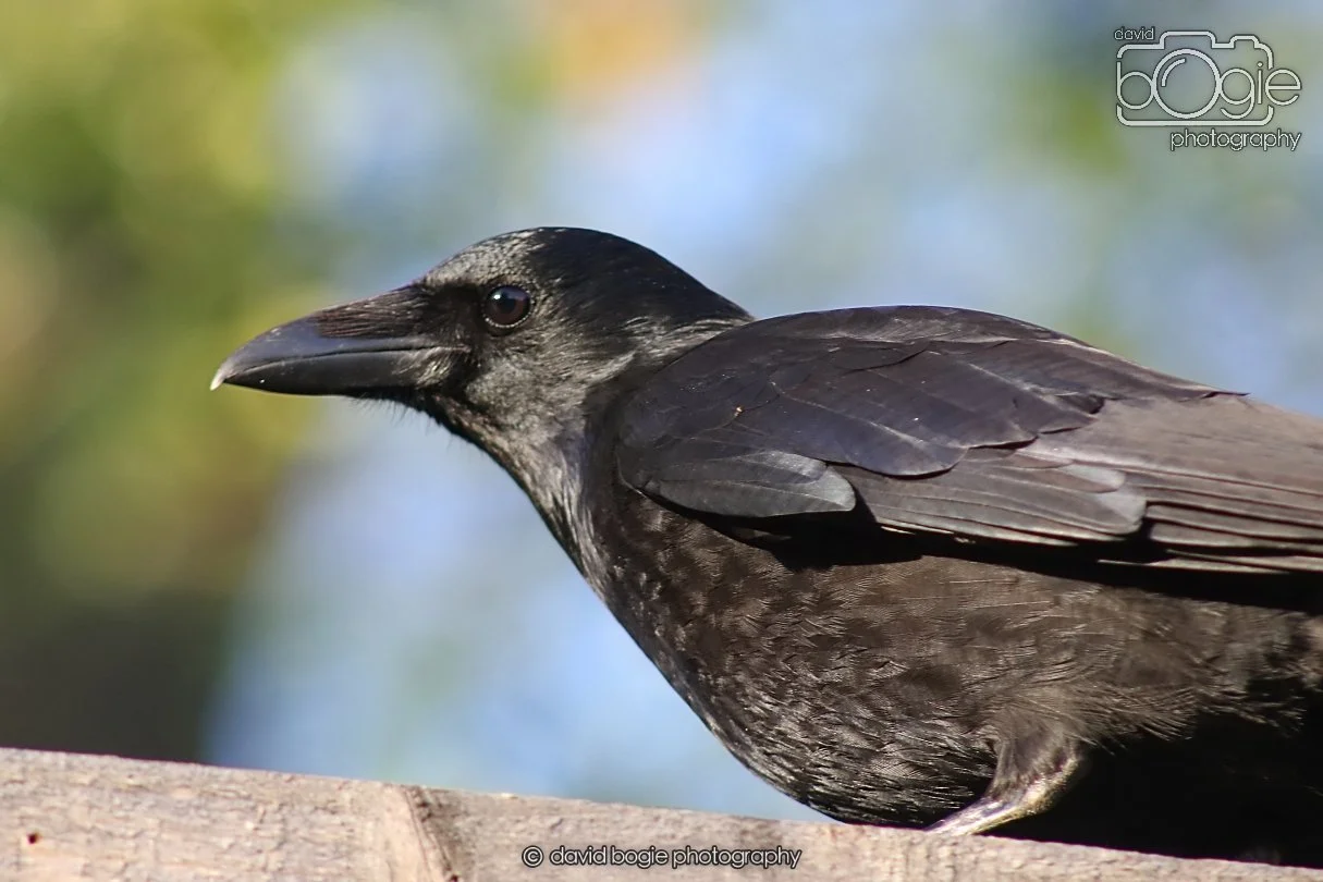 20251231 132848 Silverburn 0106.JPG