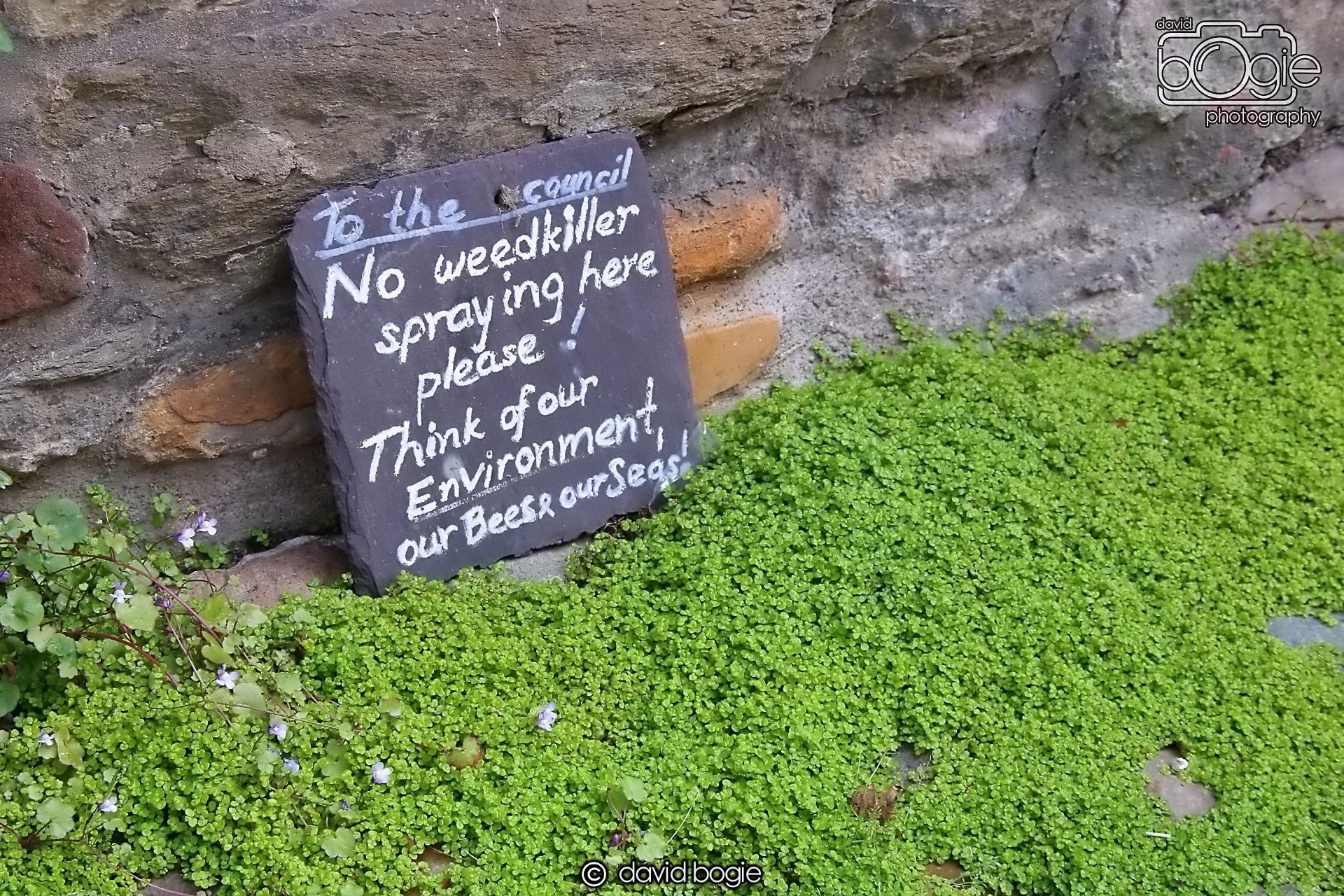 20240531 134251 St Andrews 0274.JPG