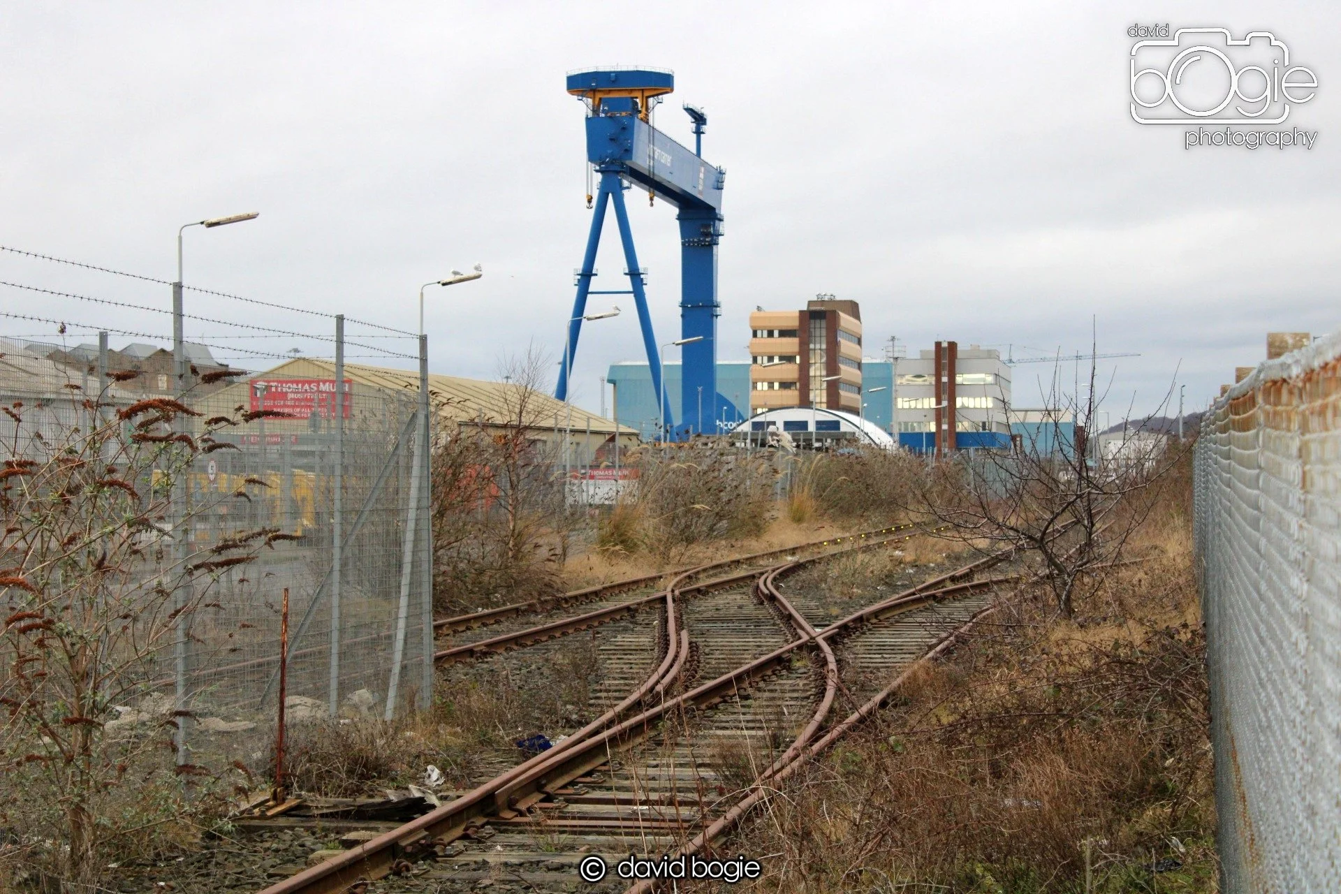 20190221 093214 Rosyth 0003.JPG