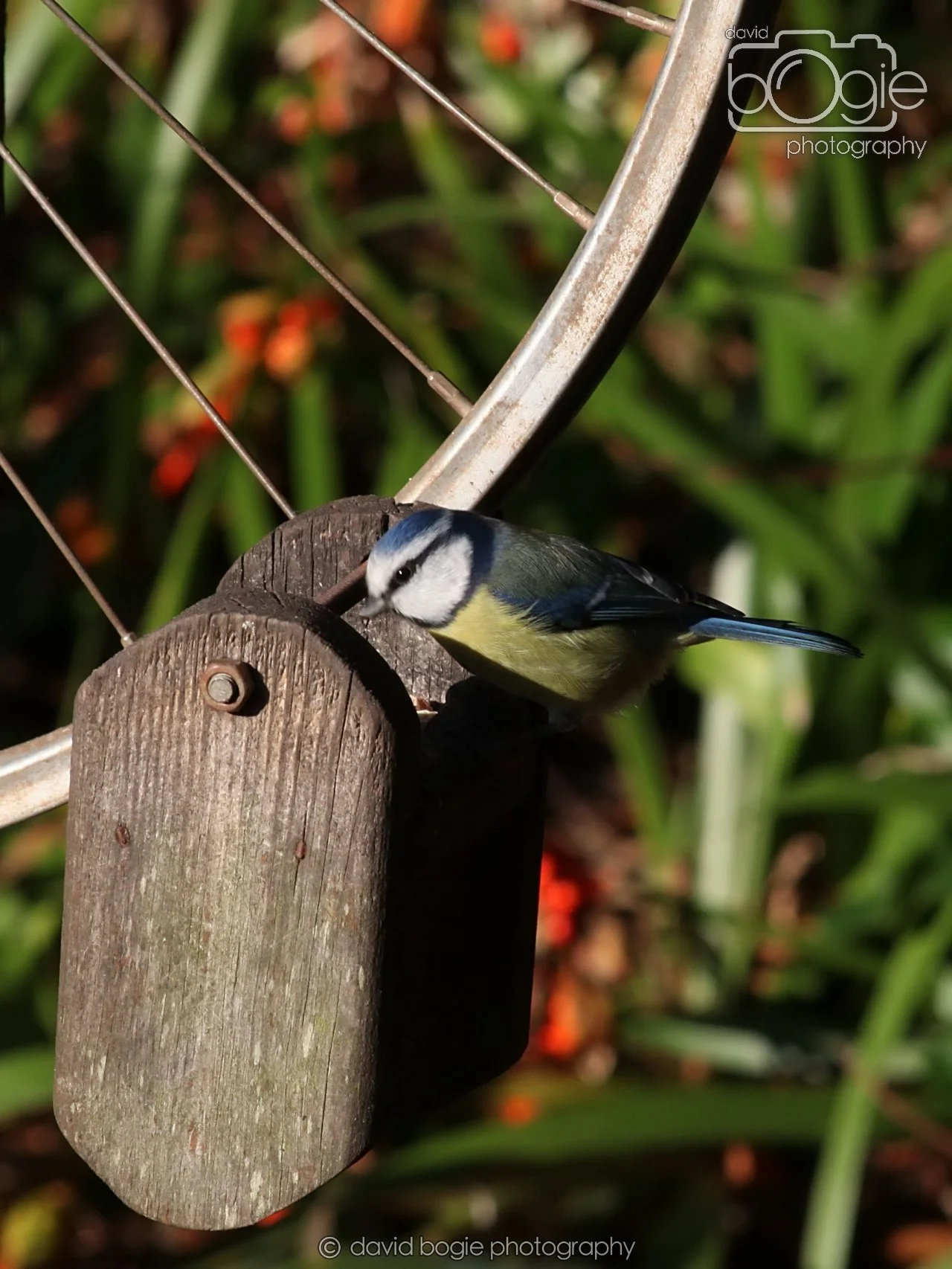 20251125 134028 Silverburn 0125.JPG