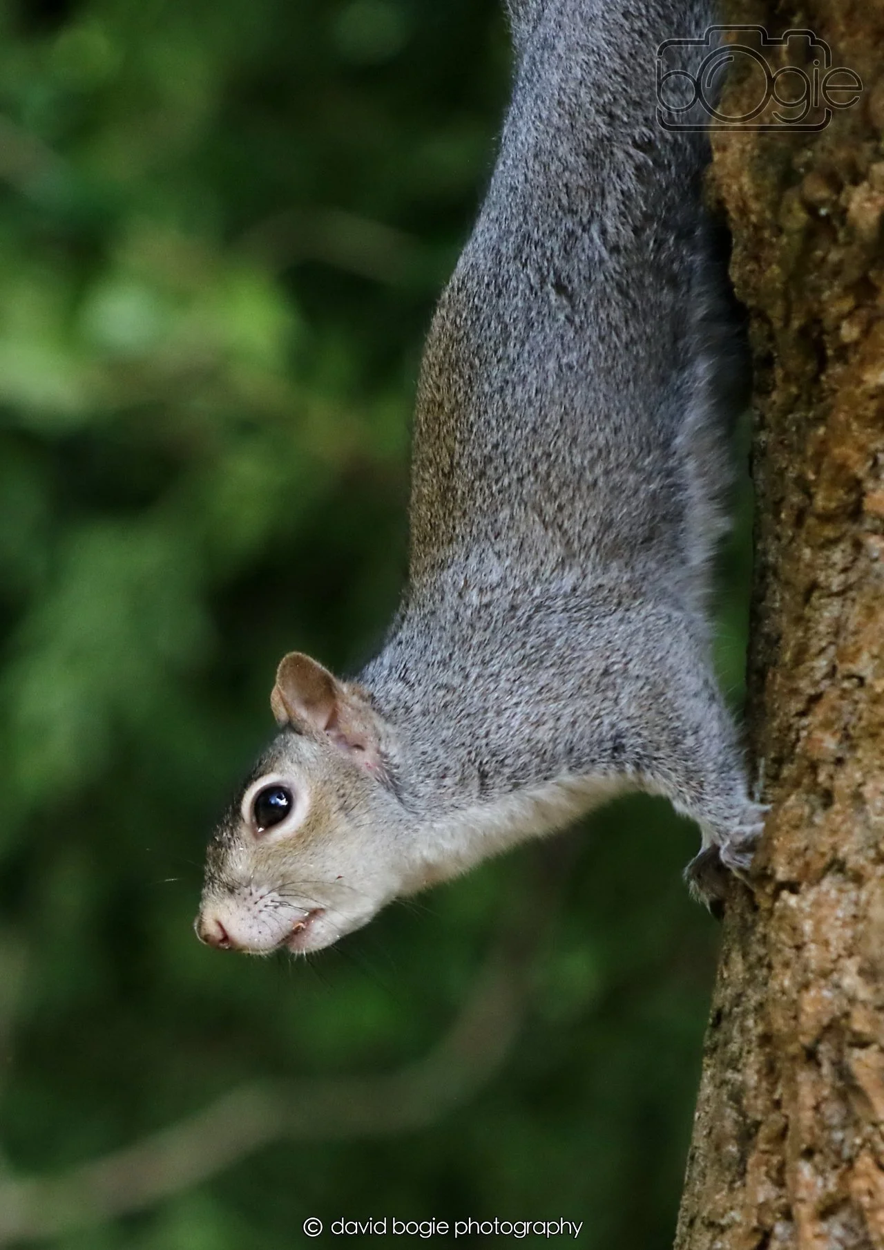 20260403 122212 Dunnikier 0183.jpg