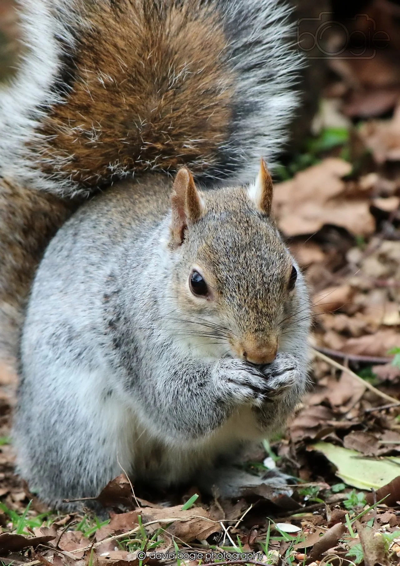 20260326 113927 Silverburn 0250.jpg