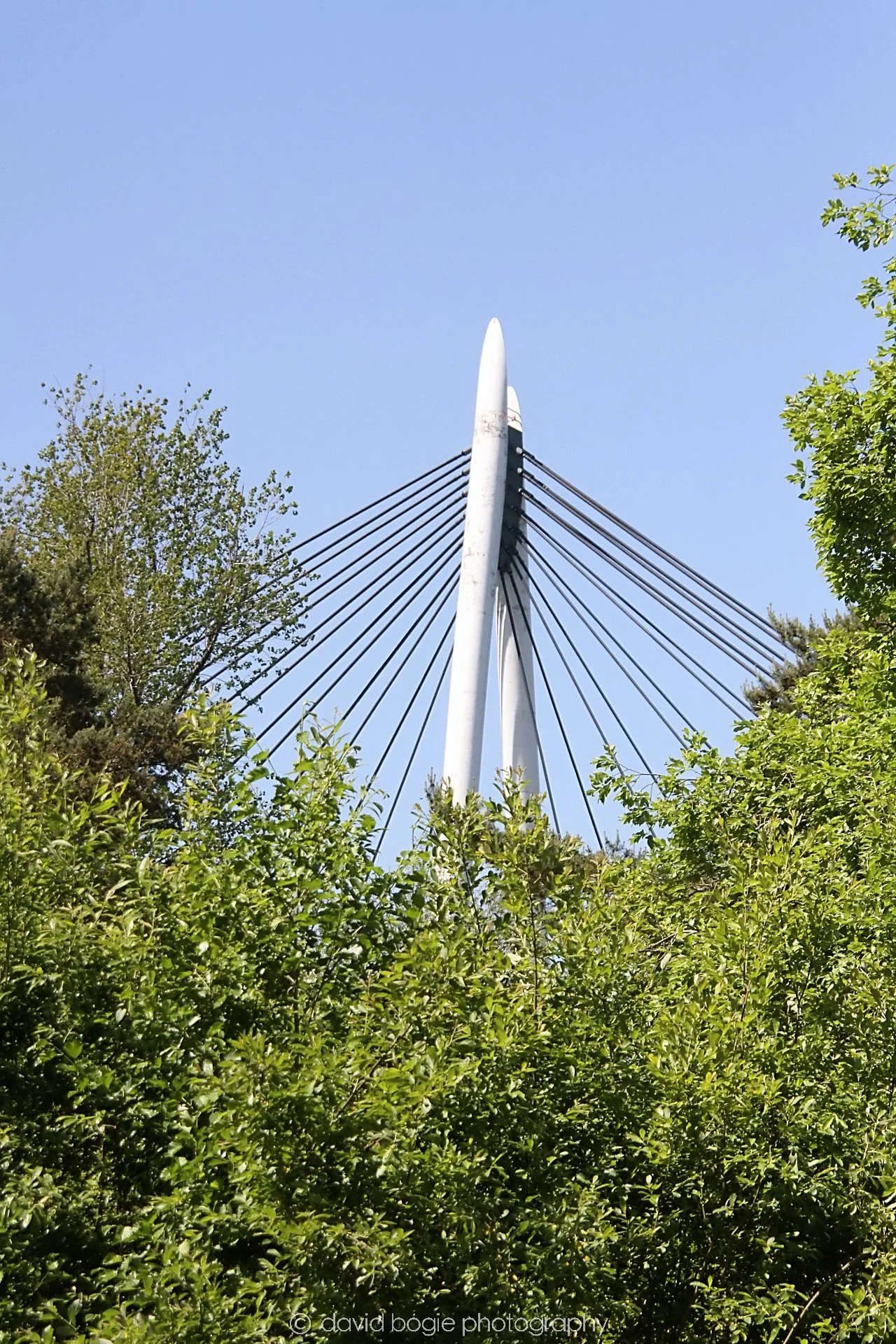 YEAR20230615 Riverside Park 122125 0087.jpg