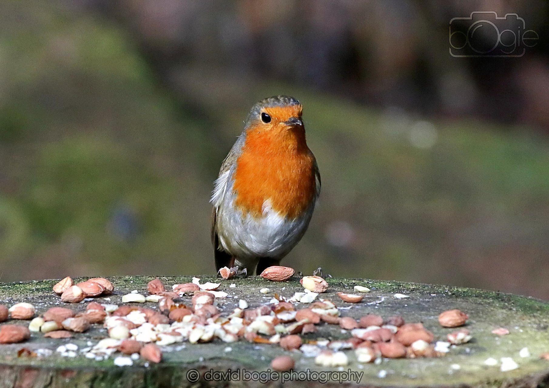 20260322 144926 Dunnikier 0188.jpg