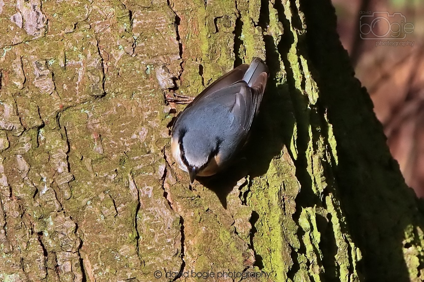 20260128 132744 Dunnikier 0192.jpg