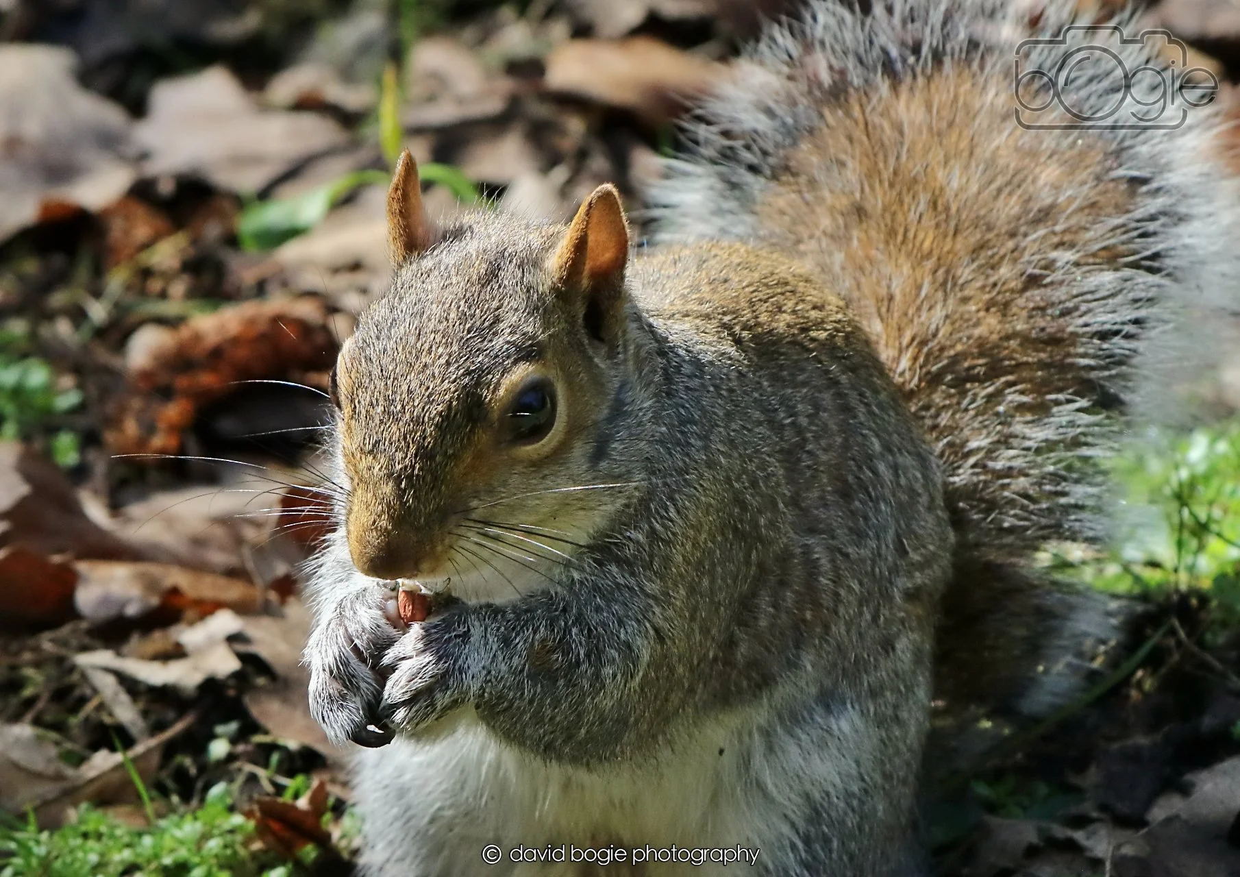 20260402 123337 Ravenscraig 0413.jpg