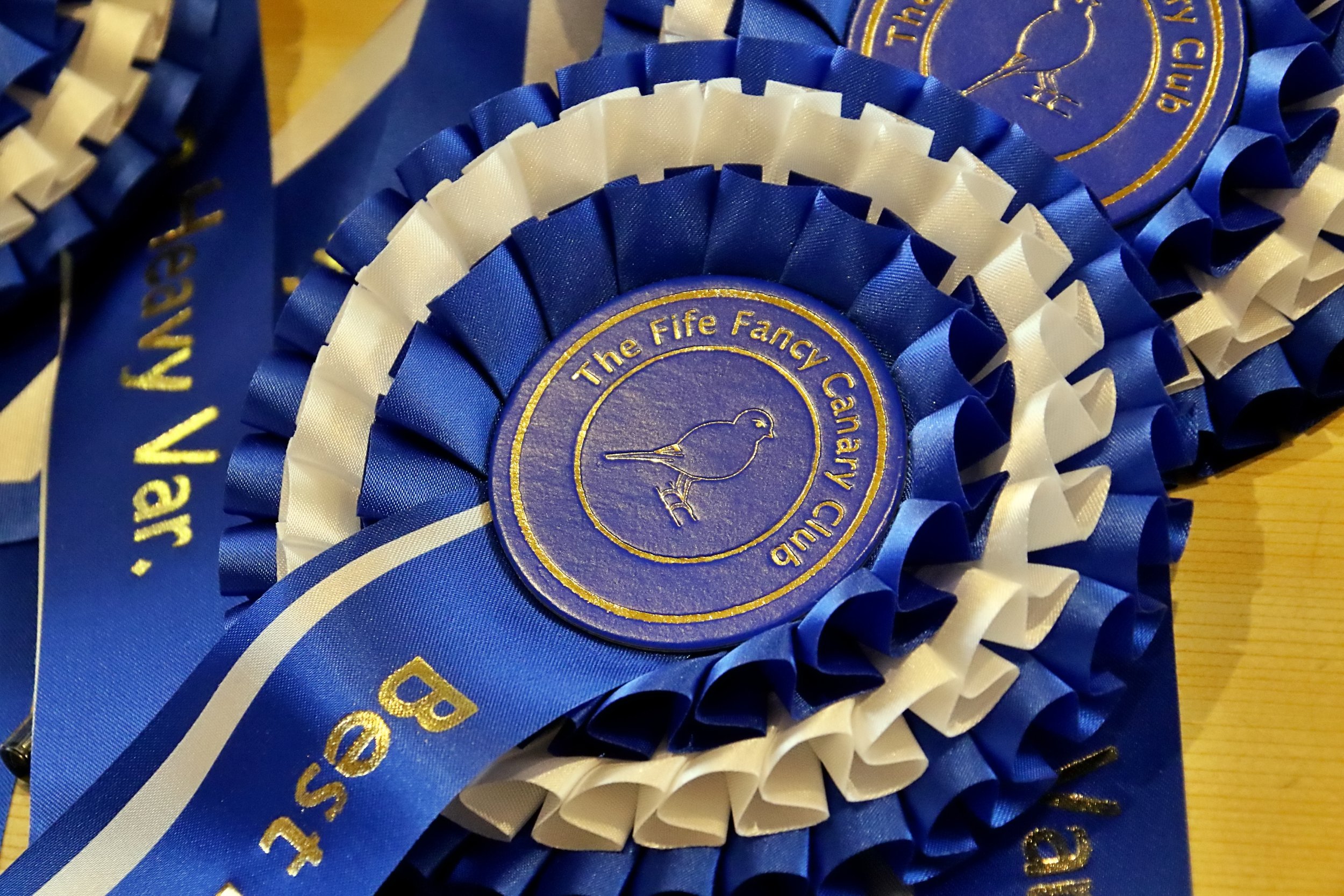 20251102 112629 Markinch CBS  0380.JPG