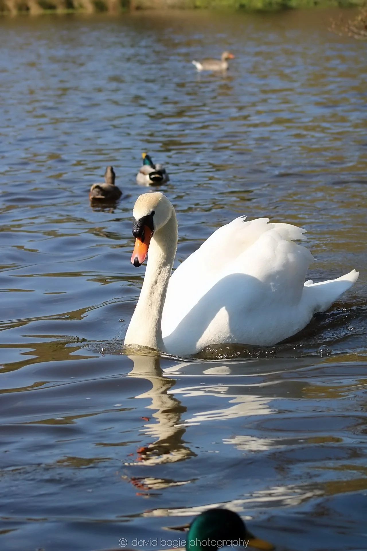 20190411 112444 Otterston 0030.jpg