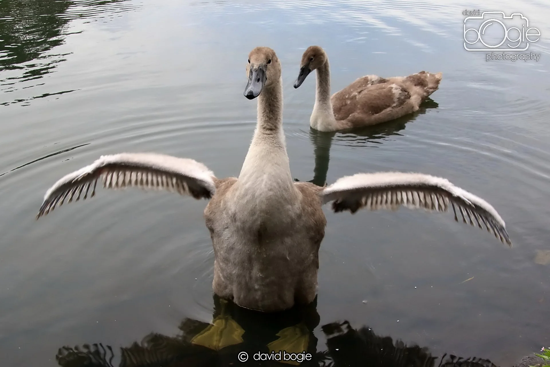 20250721 124139 Beveridge Park 0251.JPG