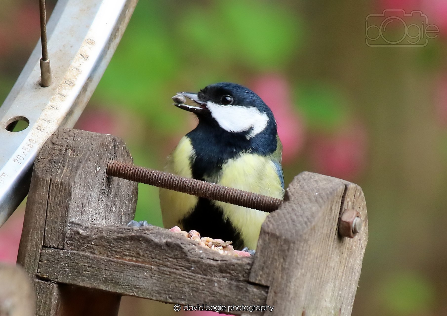 20260326 115705 Silverburn 0298.jpg