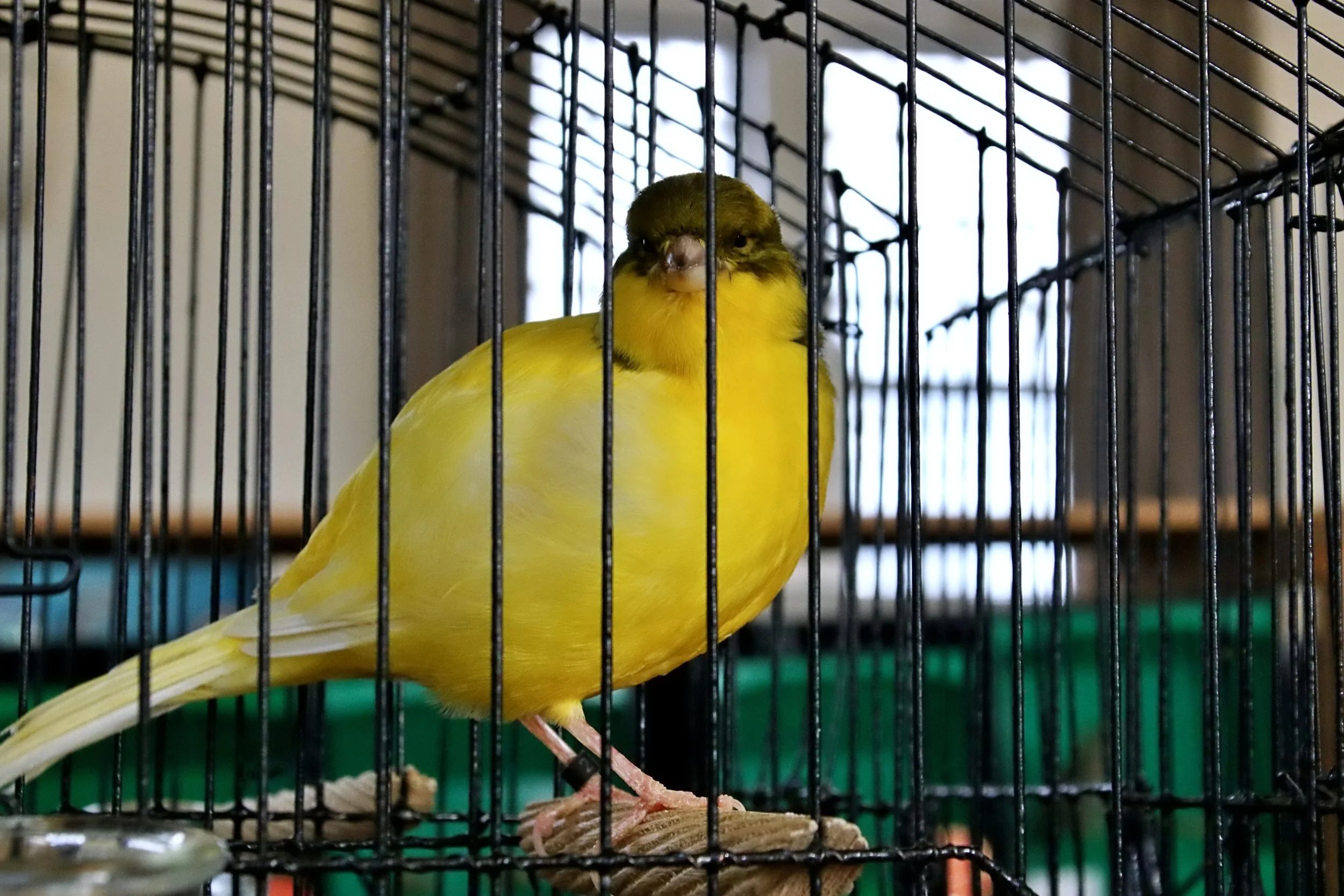 20251102 132040 Markinch CBS  0742.JPG