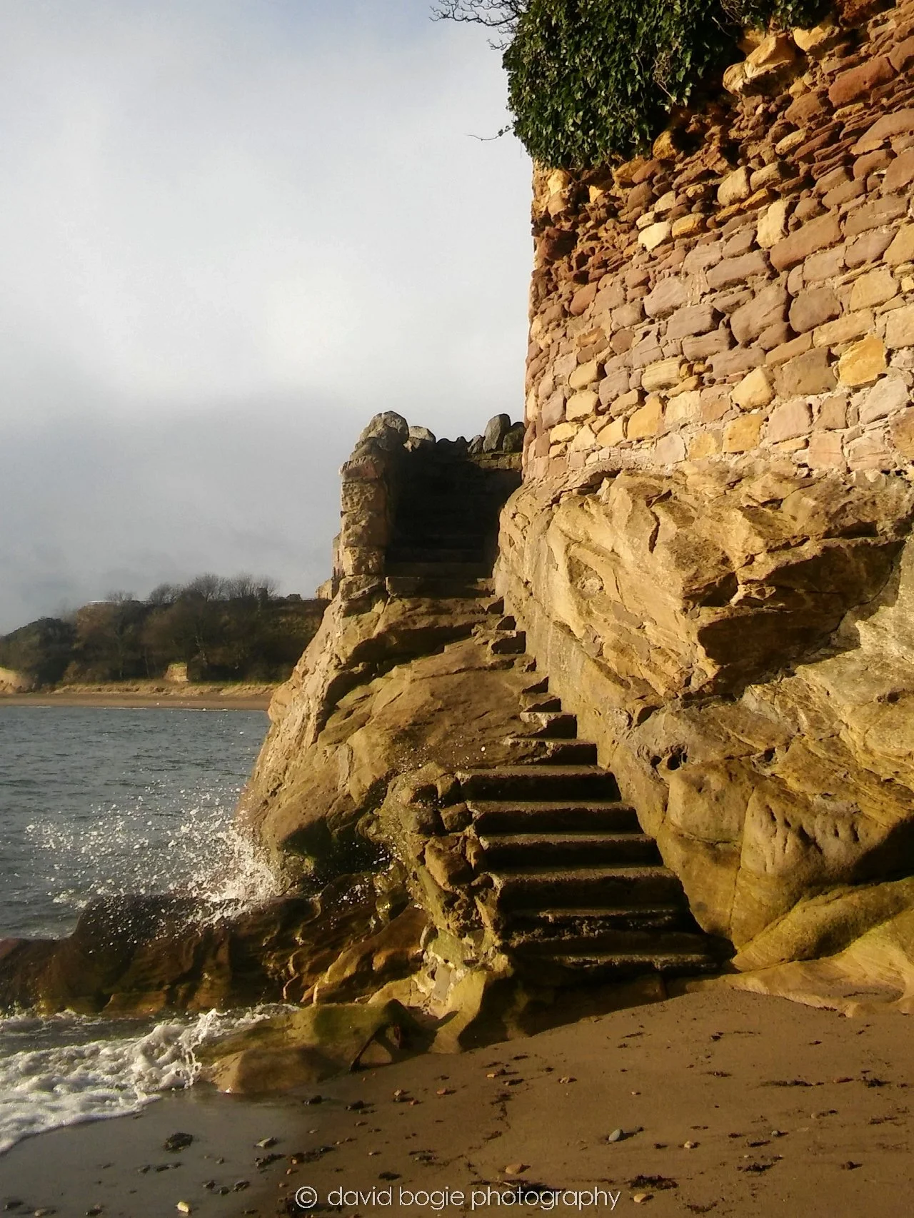 20170112 122729 Ravenscraig 0009.jpg