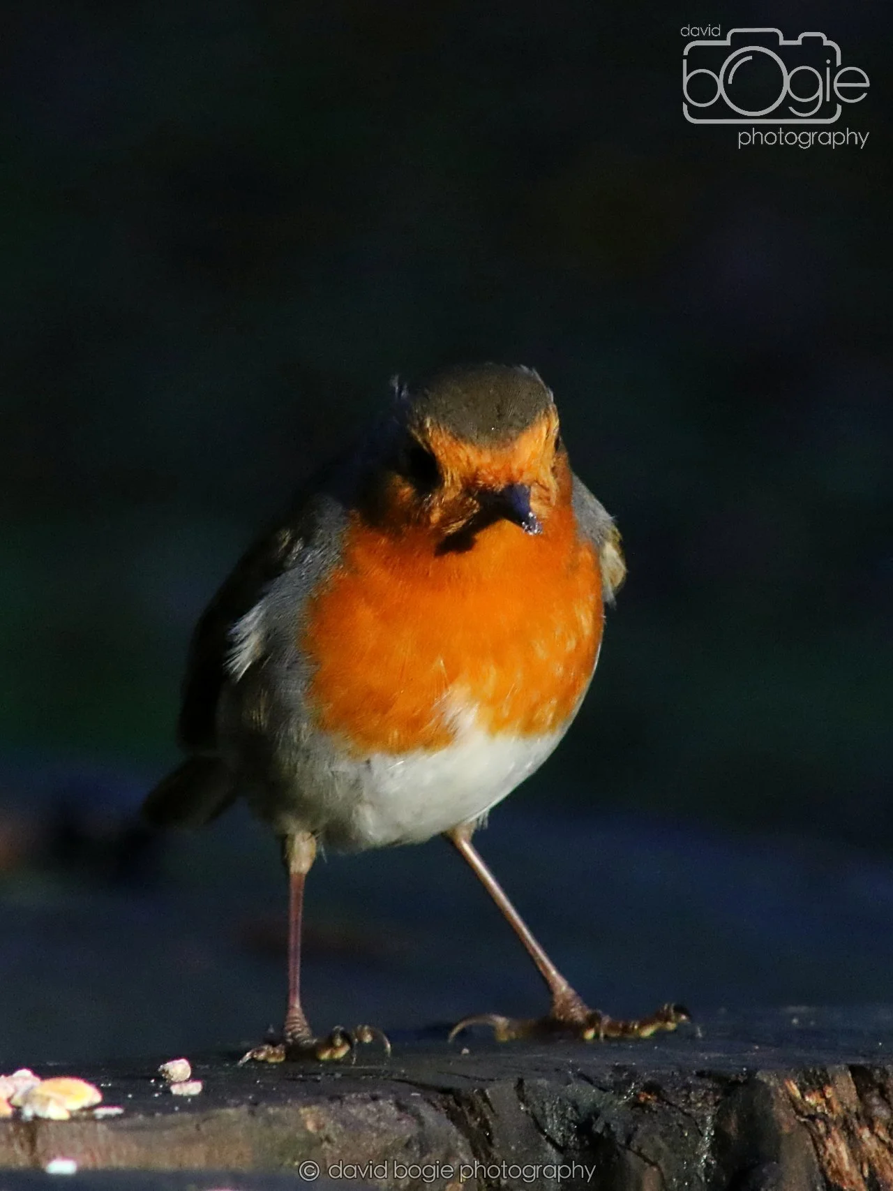 20251125 142712 Silverburn 0693.JPG