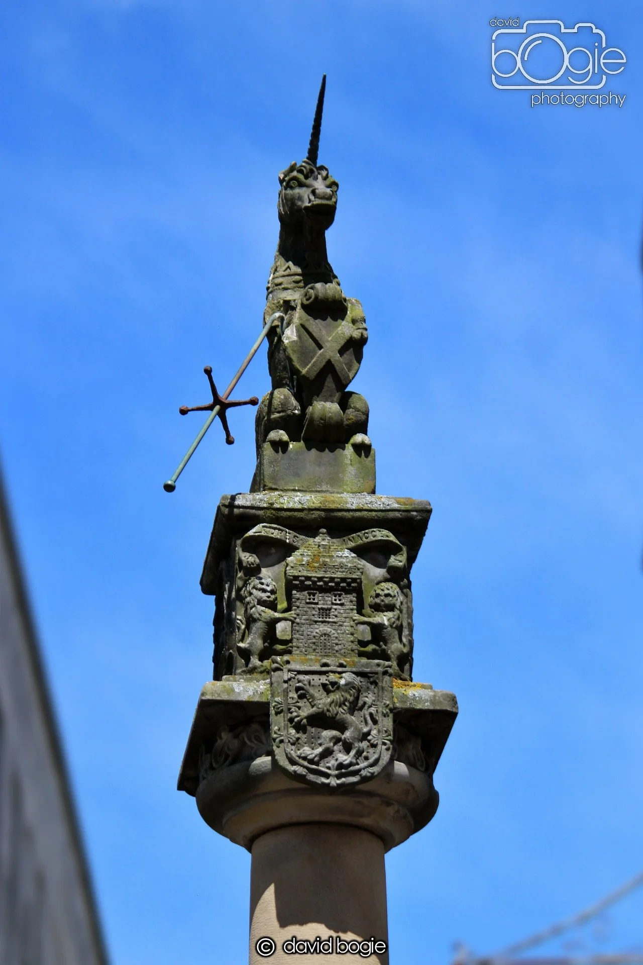 20220612 130944_Dunfermline 9513.JPG