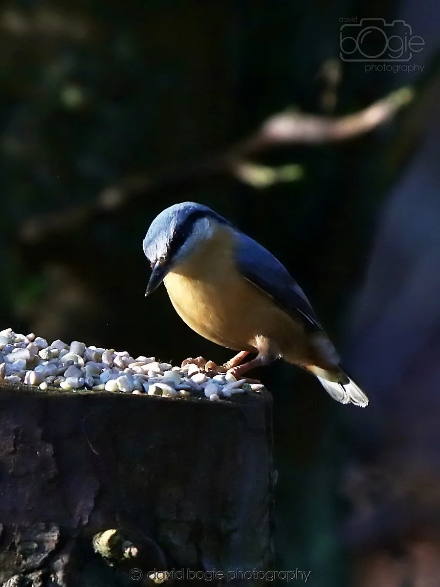 20260128 130026 Dunnikier 0118.jpg