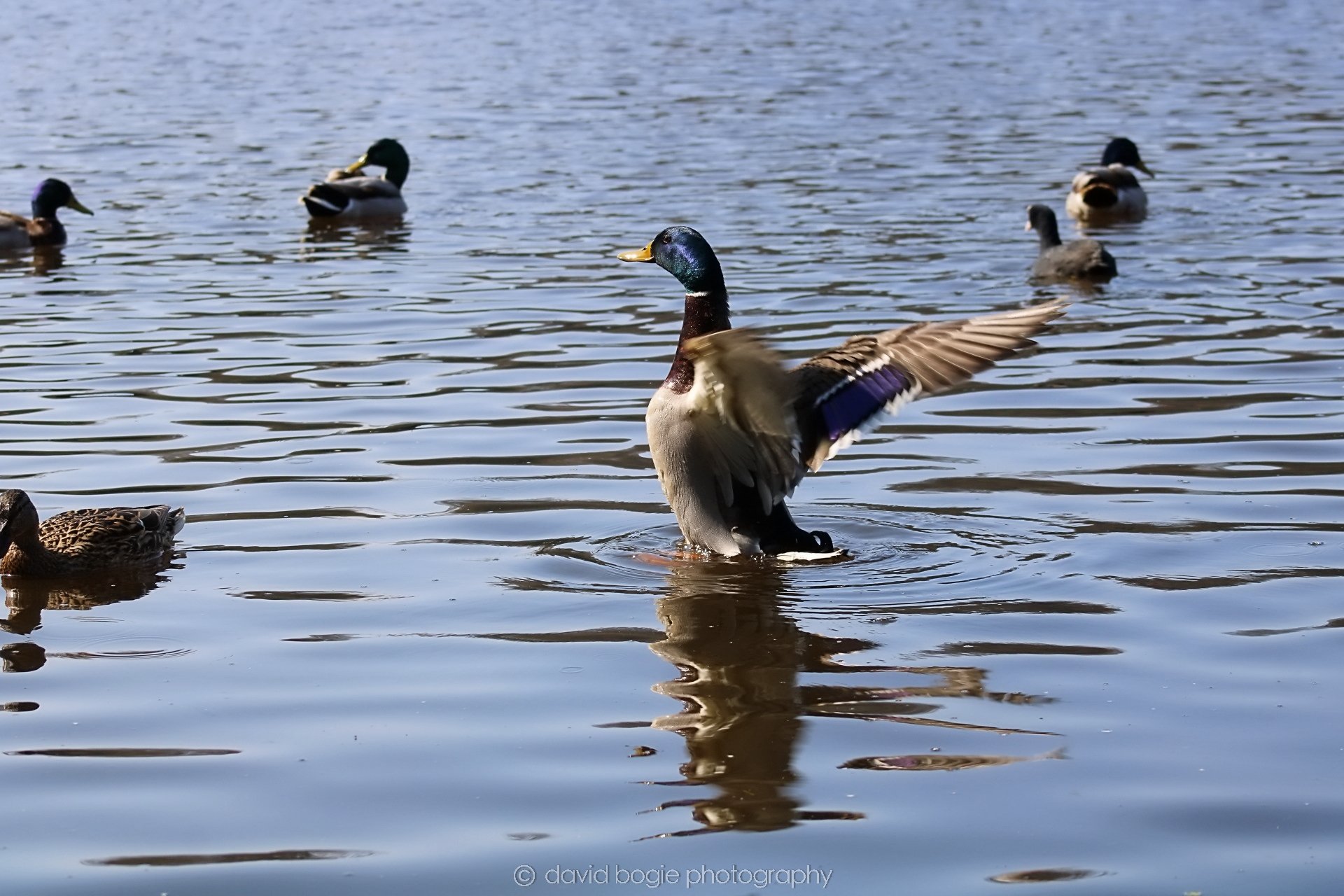 20190411 113840 Otterston 0035.jpg