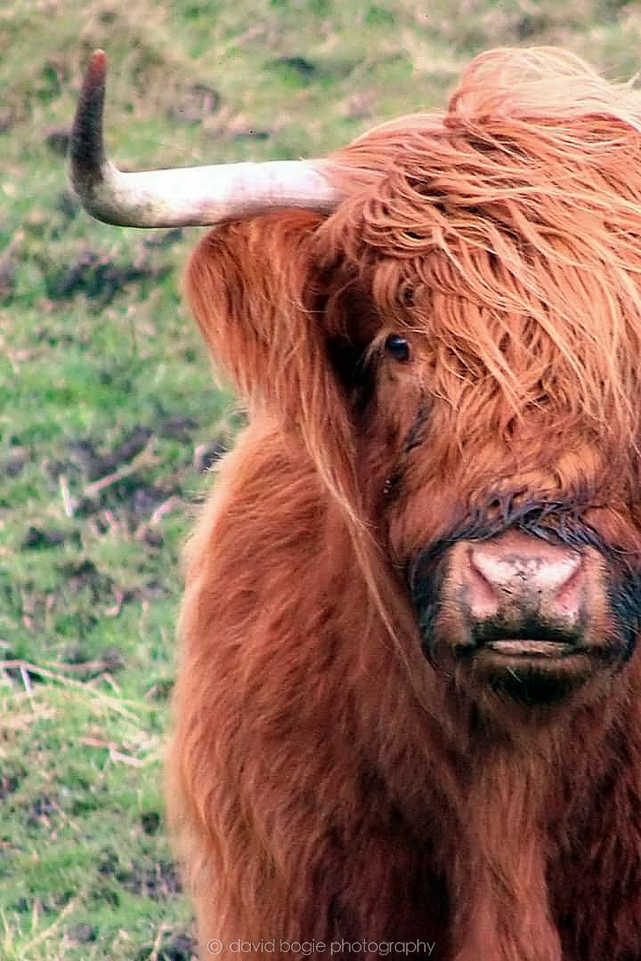 20200218 094344 Balbie Coos 0018.jpg