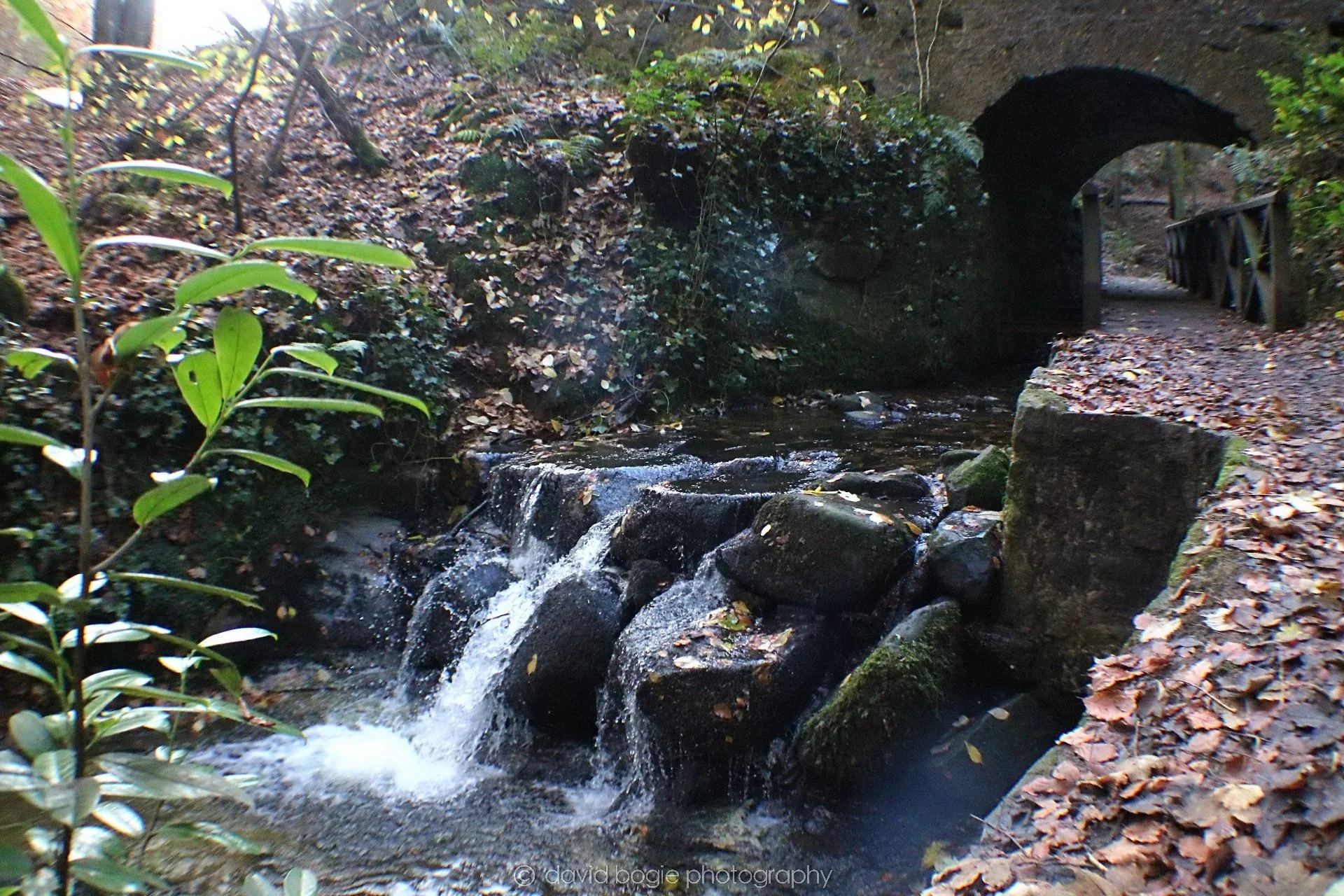 20191121 131613 Falkland 0011.jpg