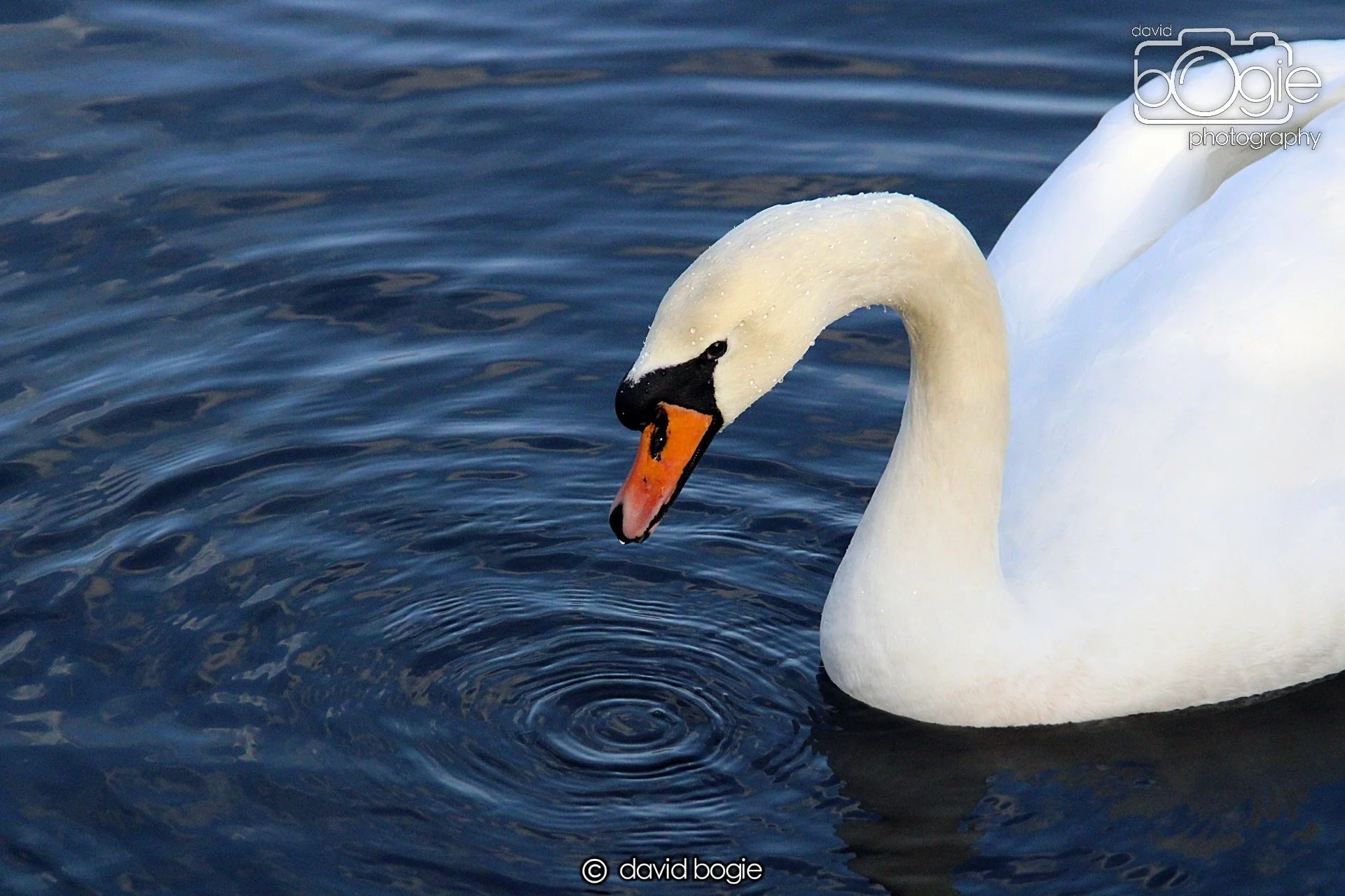 20220101 Beveridge Park 15 .JPG