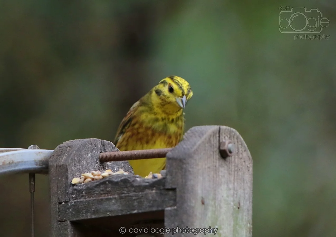 20260215 132227 Silverburn 0110.jpg