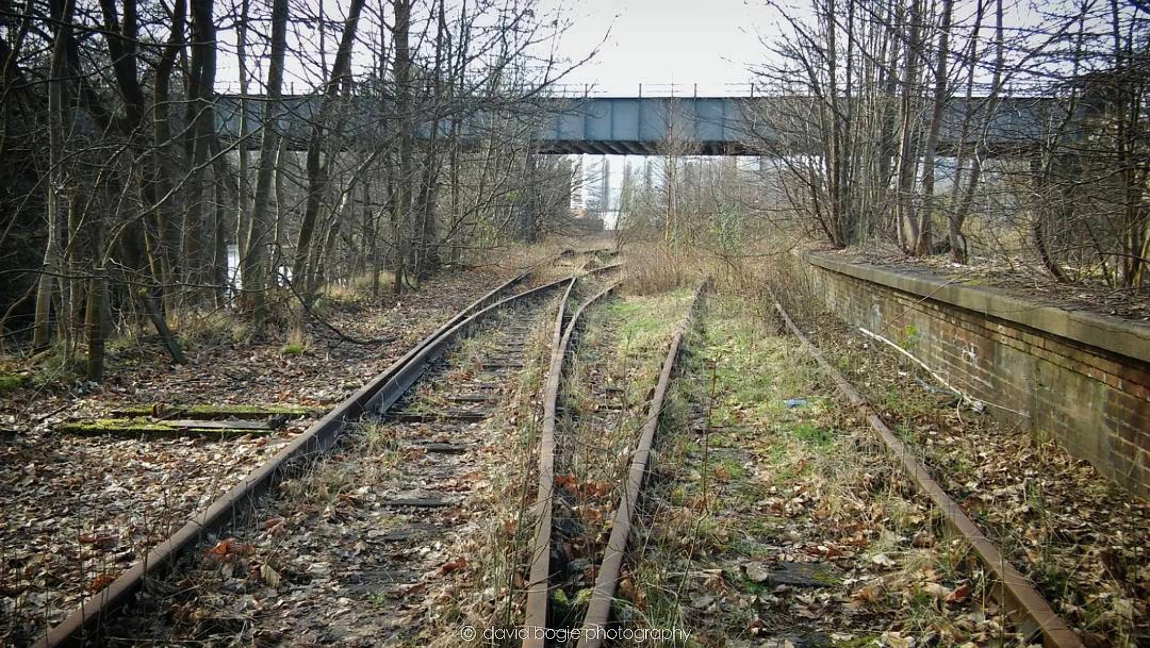 20170303 000000 Leven 0005.jpg