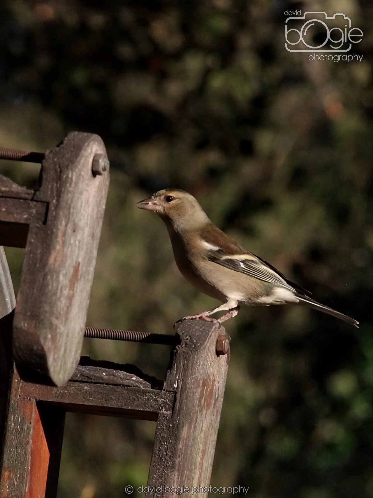 20251125 140138 Silverburn 0317.JPG