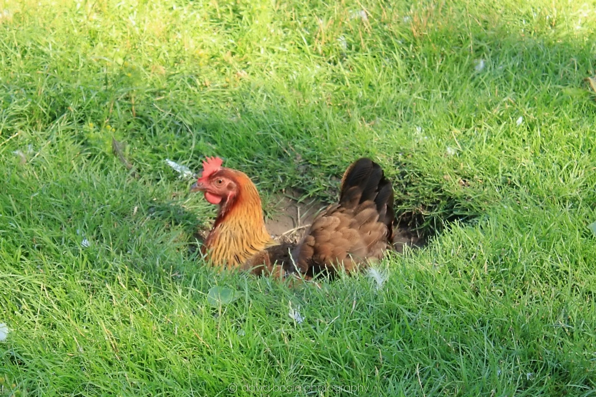 20190722 163558 Beamish .jpg