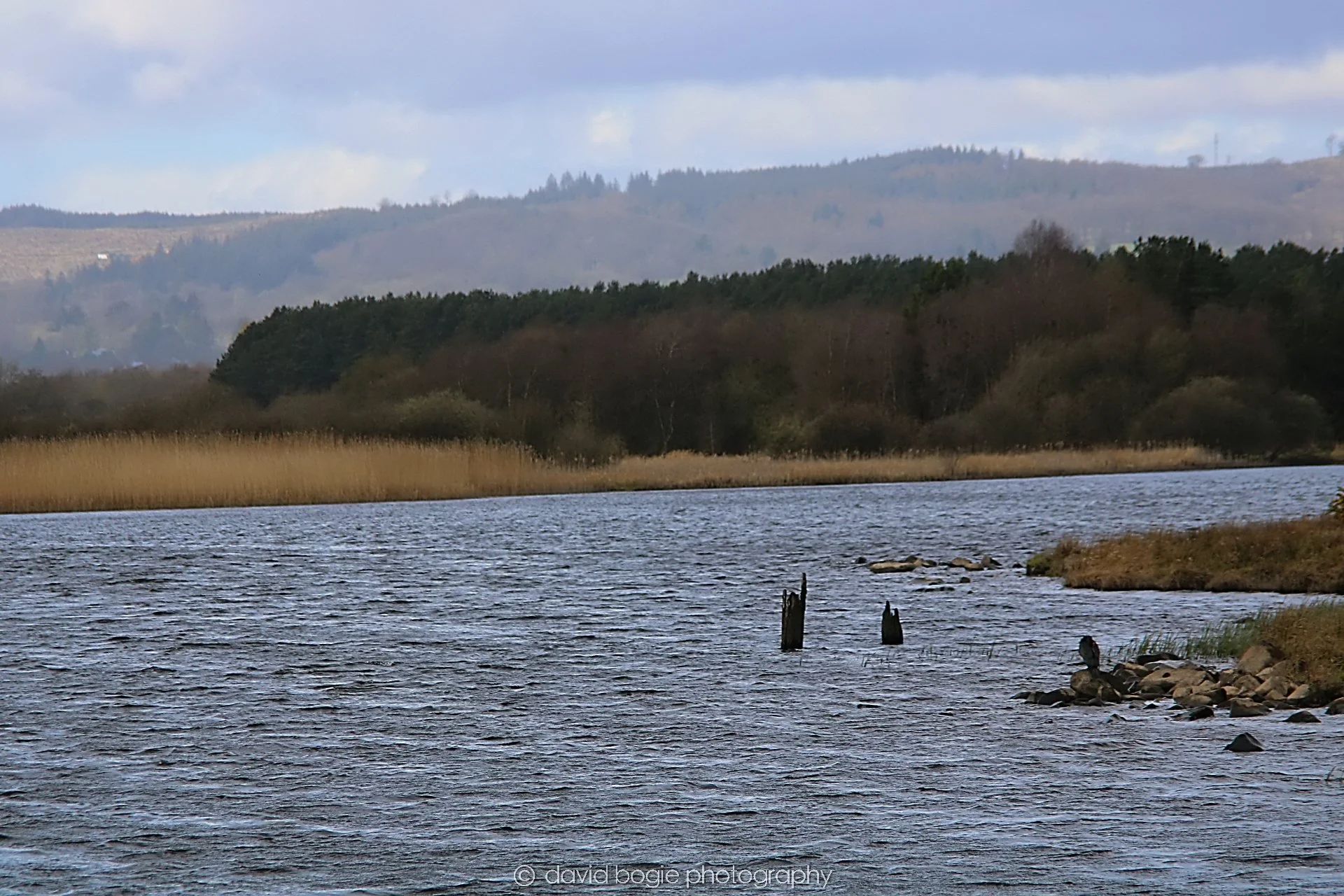 YEAR20230410 Lochore 00190.jpg