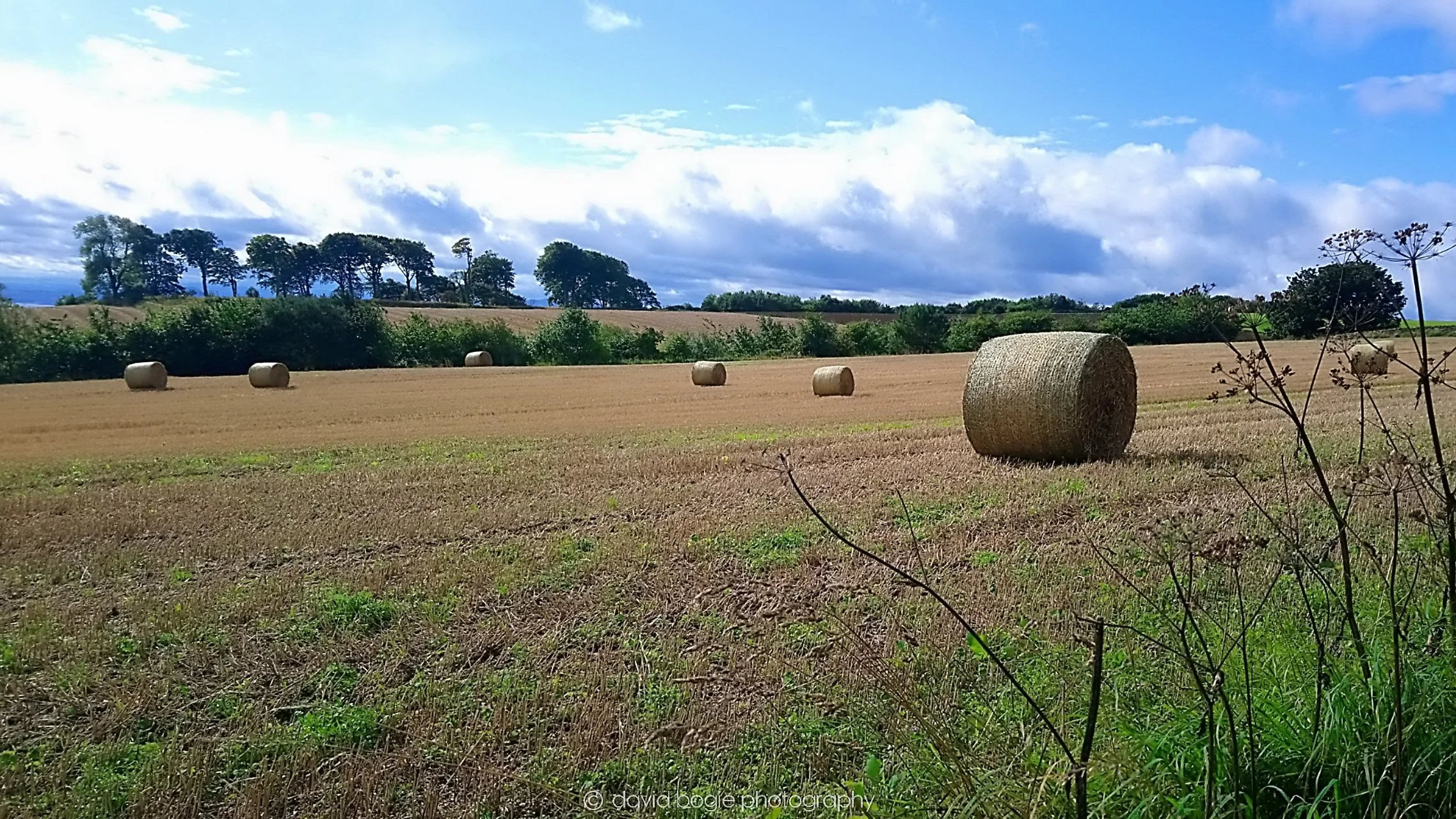 YEAR20180909 155901 Cardenden 0001.jpg