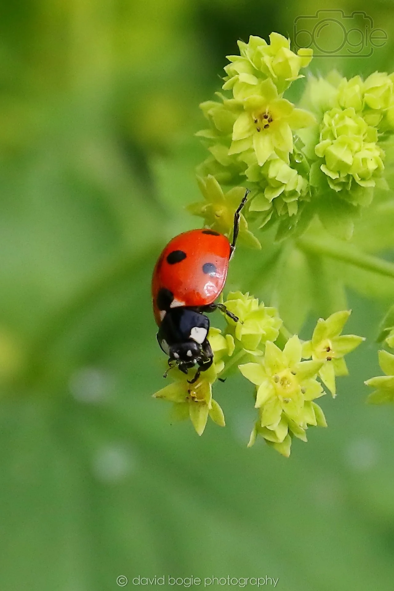 20260623 114308 Falkland 0277.jpg