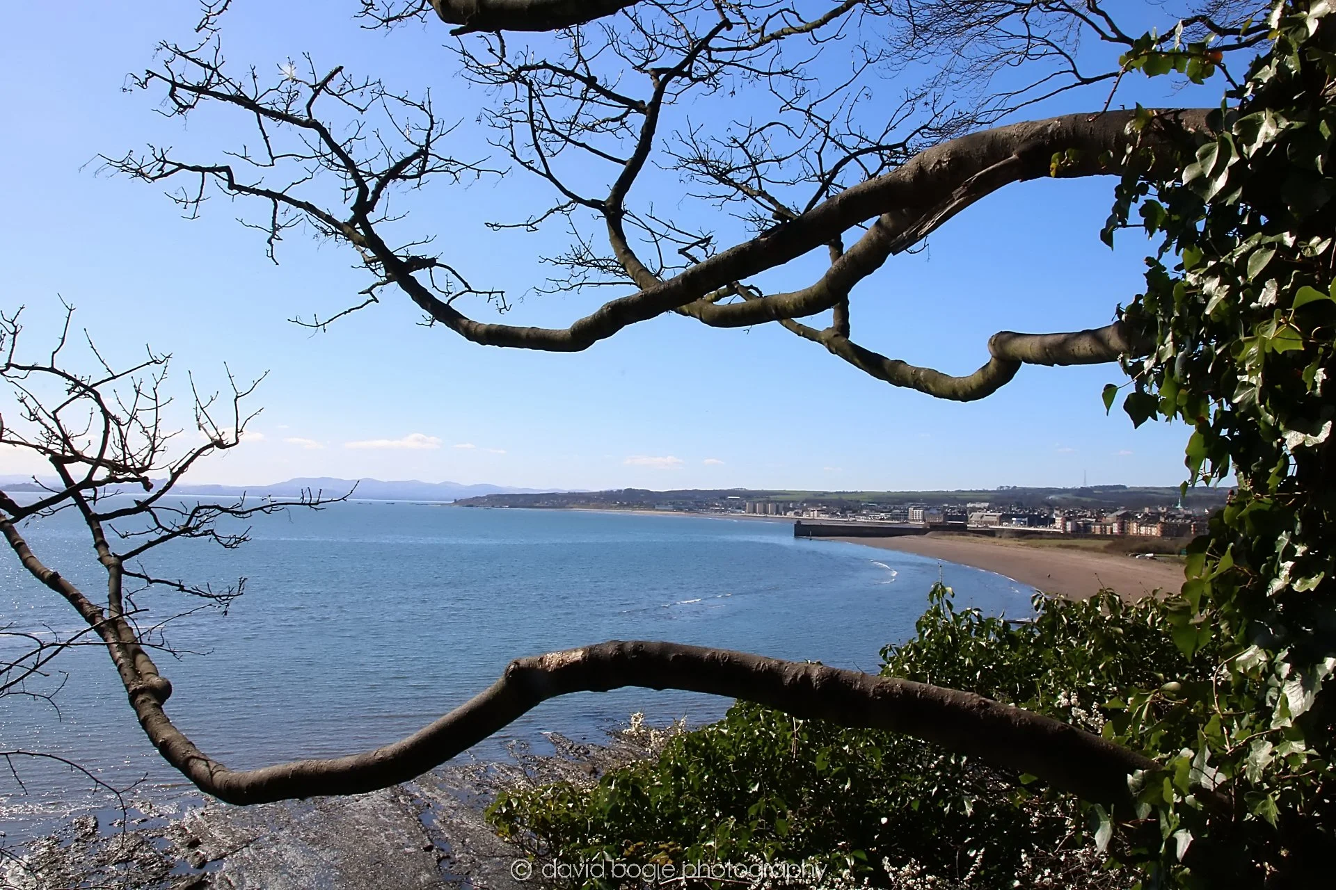 YEAR20230327 Kirkcaldy IMG_0051.jpg