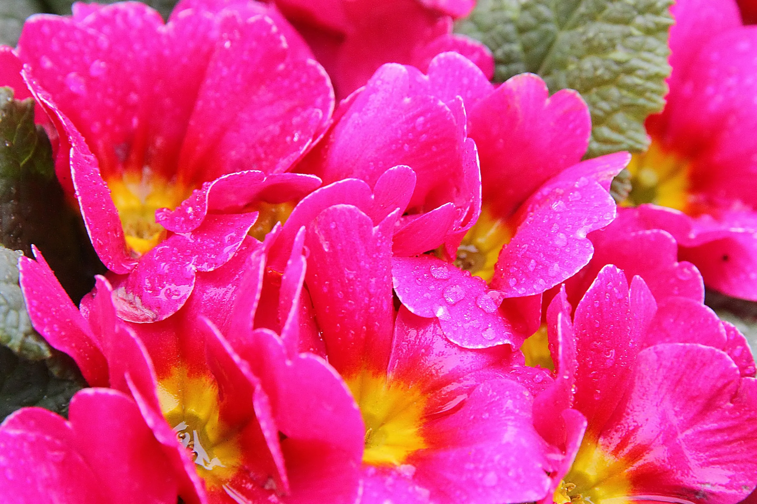 20260403 132442 Dunnikier Sensory Garden 0096.jpg