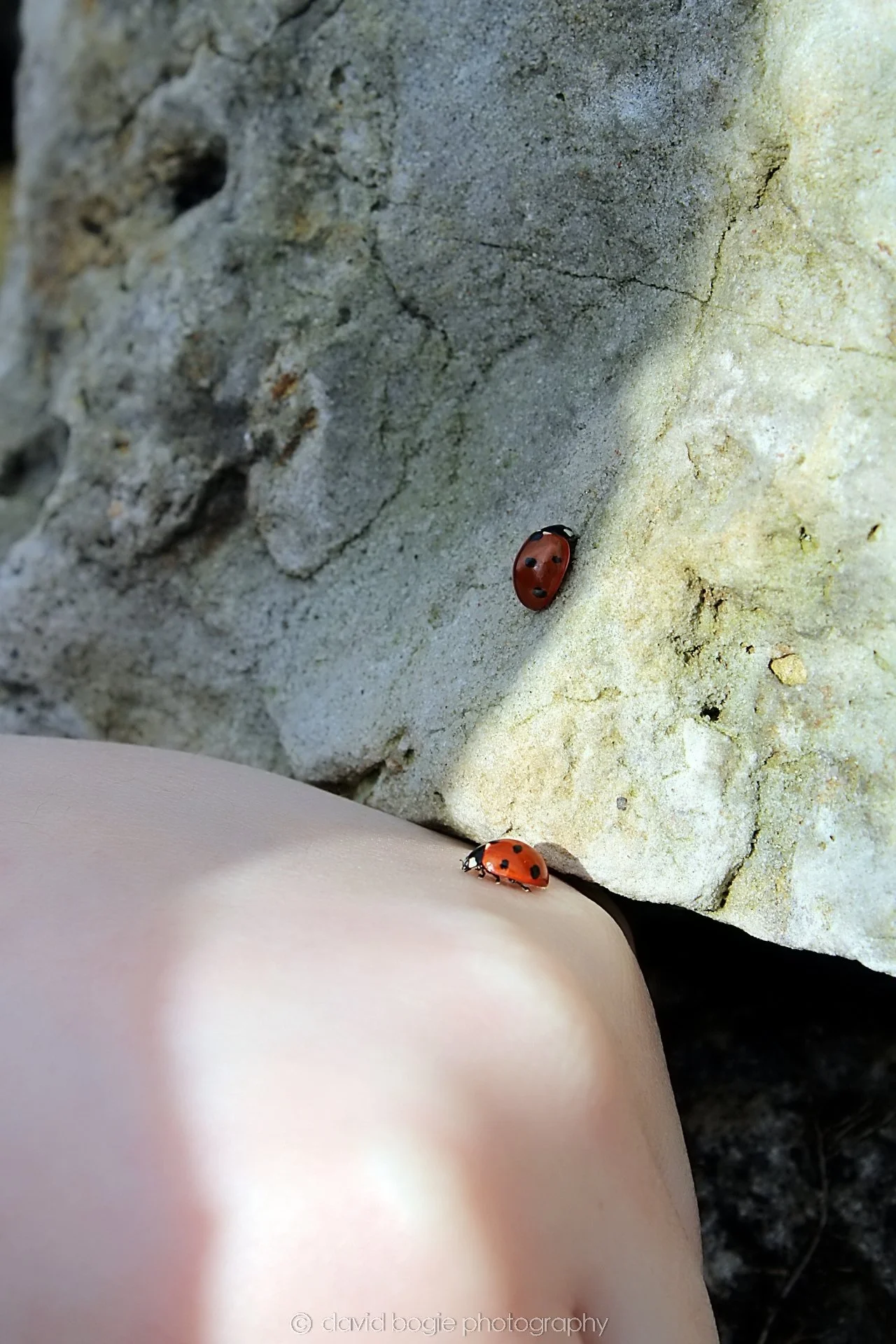 20190410 105901 Vane Farm 0011.jpg