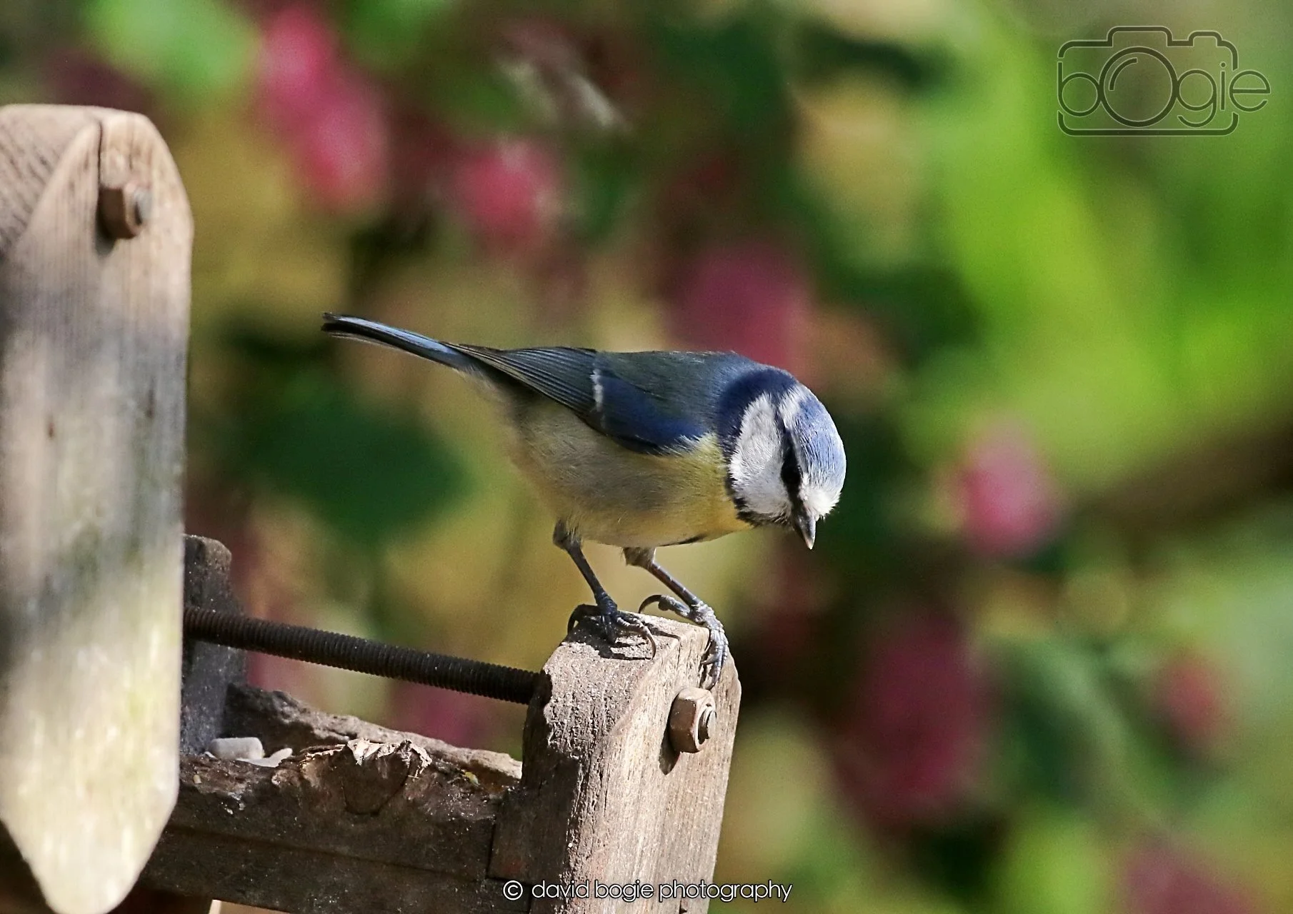 20260402 101833 Silverburn 0150.jpg