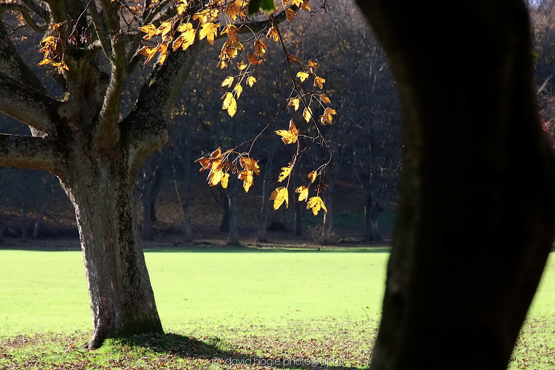 YEAR20231107 Beveridge Park 0388.jpg