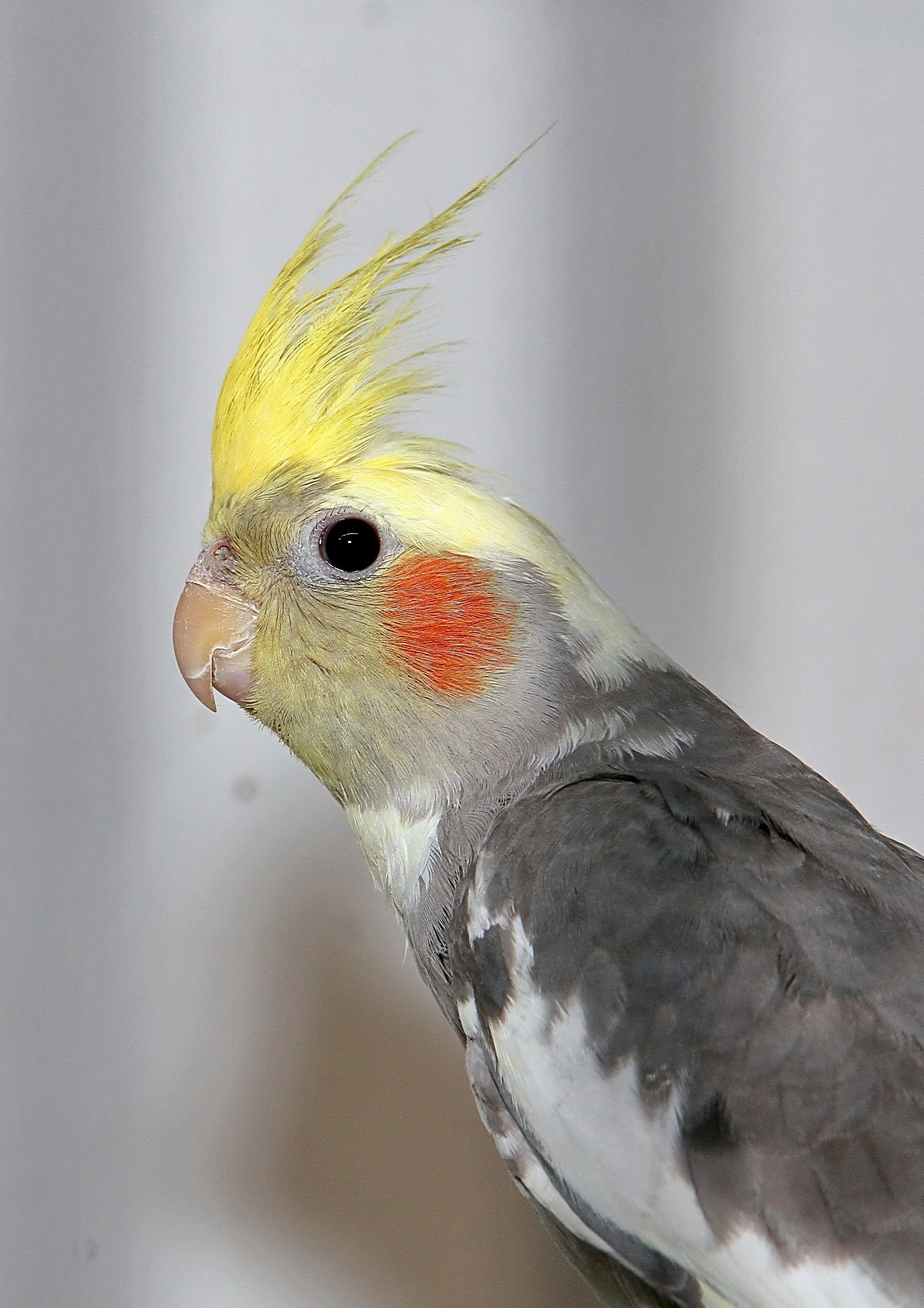 20260331 105126 K&S 0362.jpg