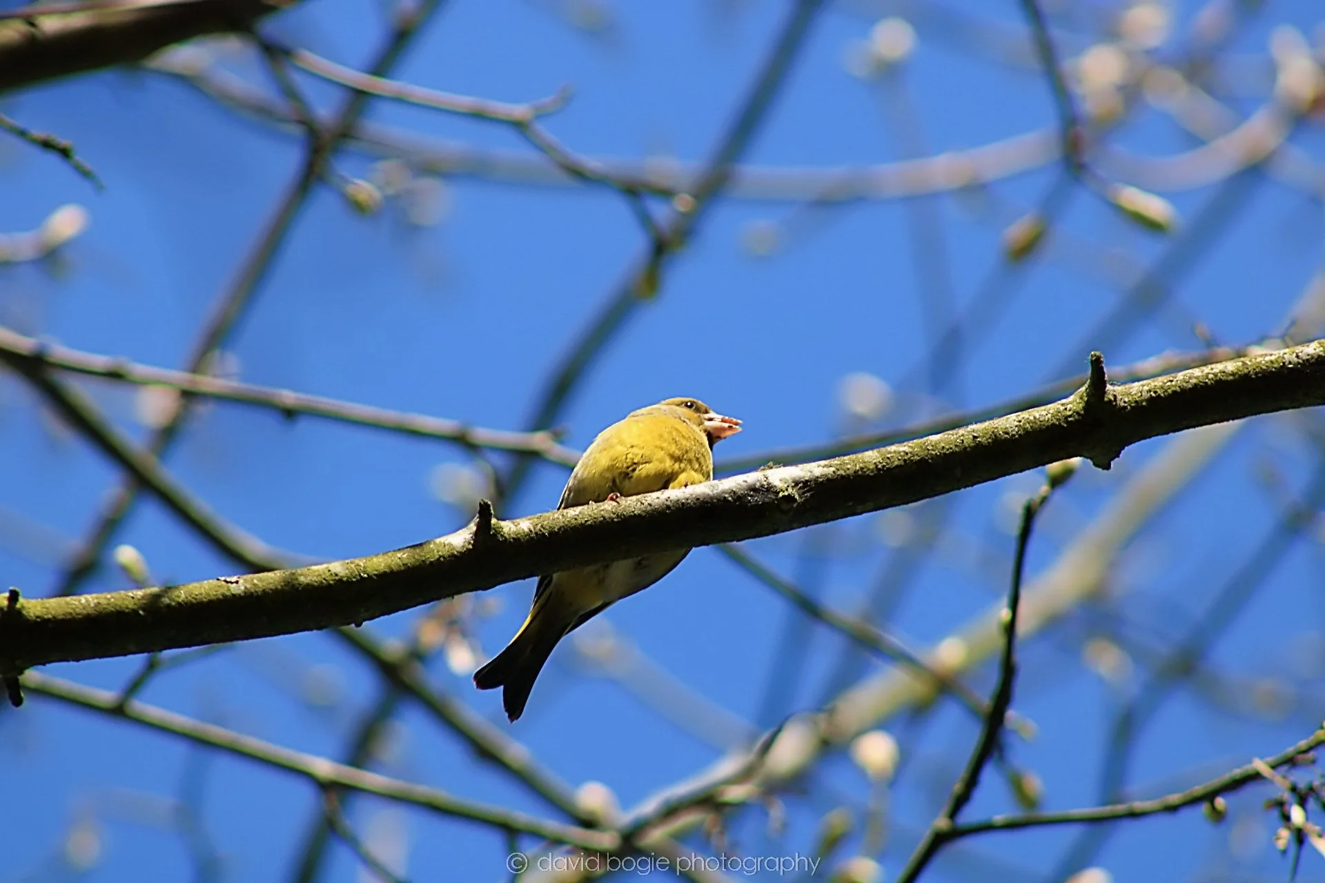 20190425 103227 Cardenden 0036.jpg