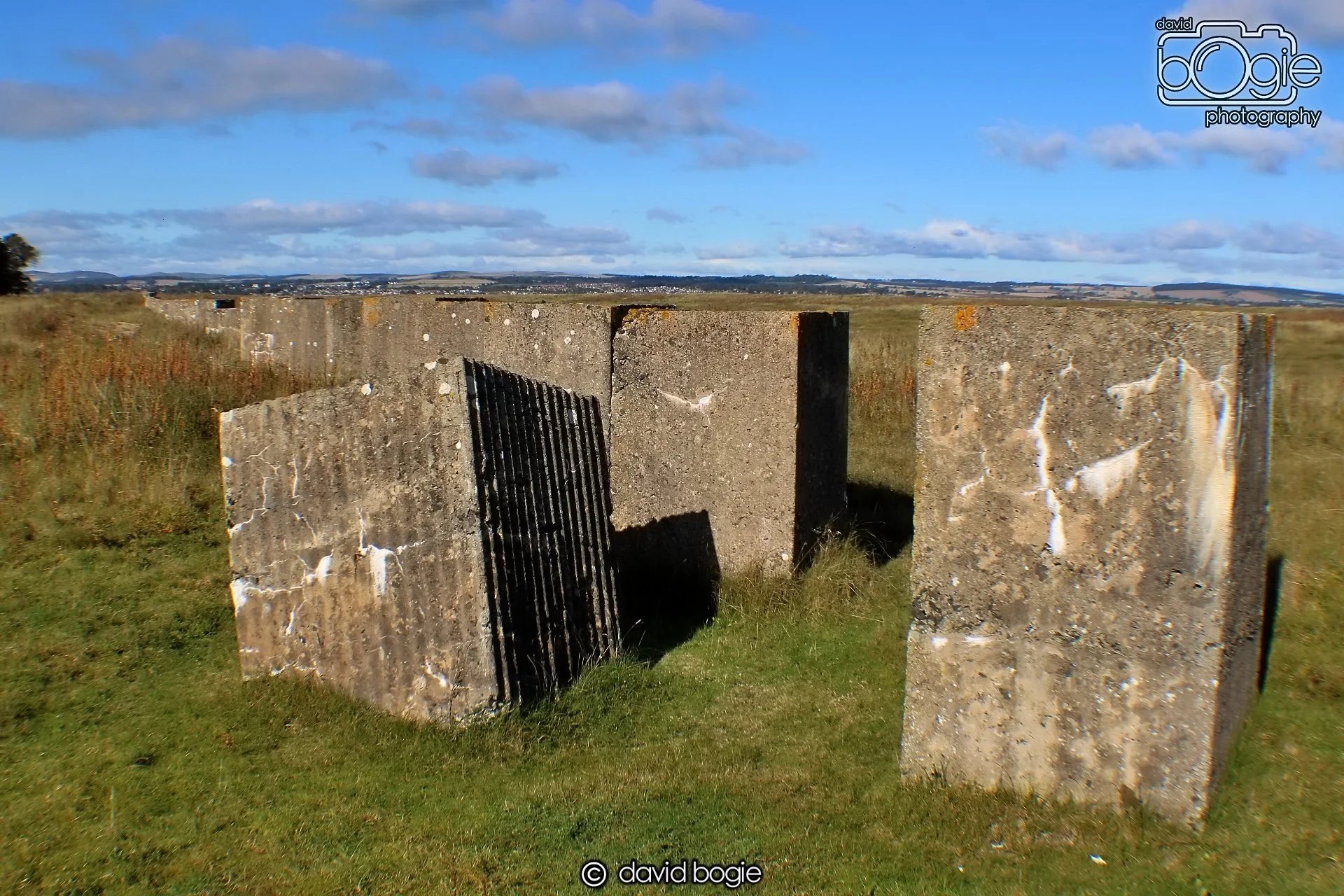 20191002 134557 Tentsmuir 0020.jpg