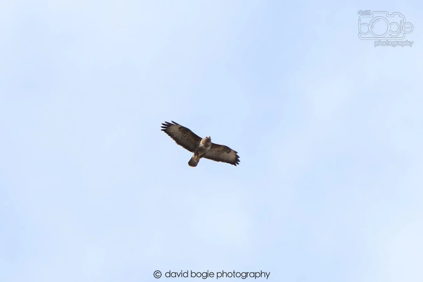 20260308 141239 Dunnikier 0019.jpg