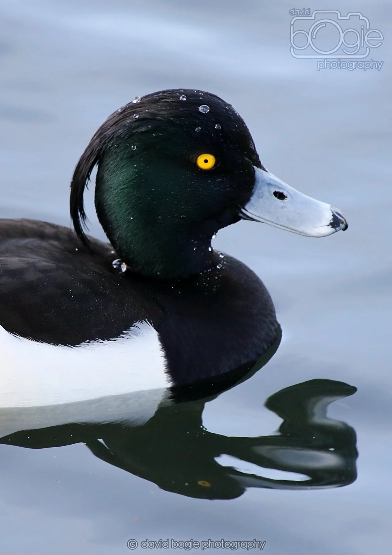 20260319 133528 Beveridge Park 0496.jpg