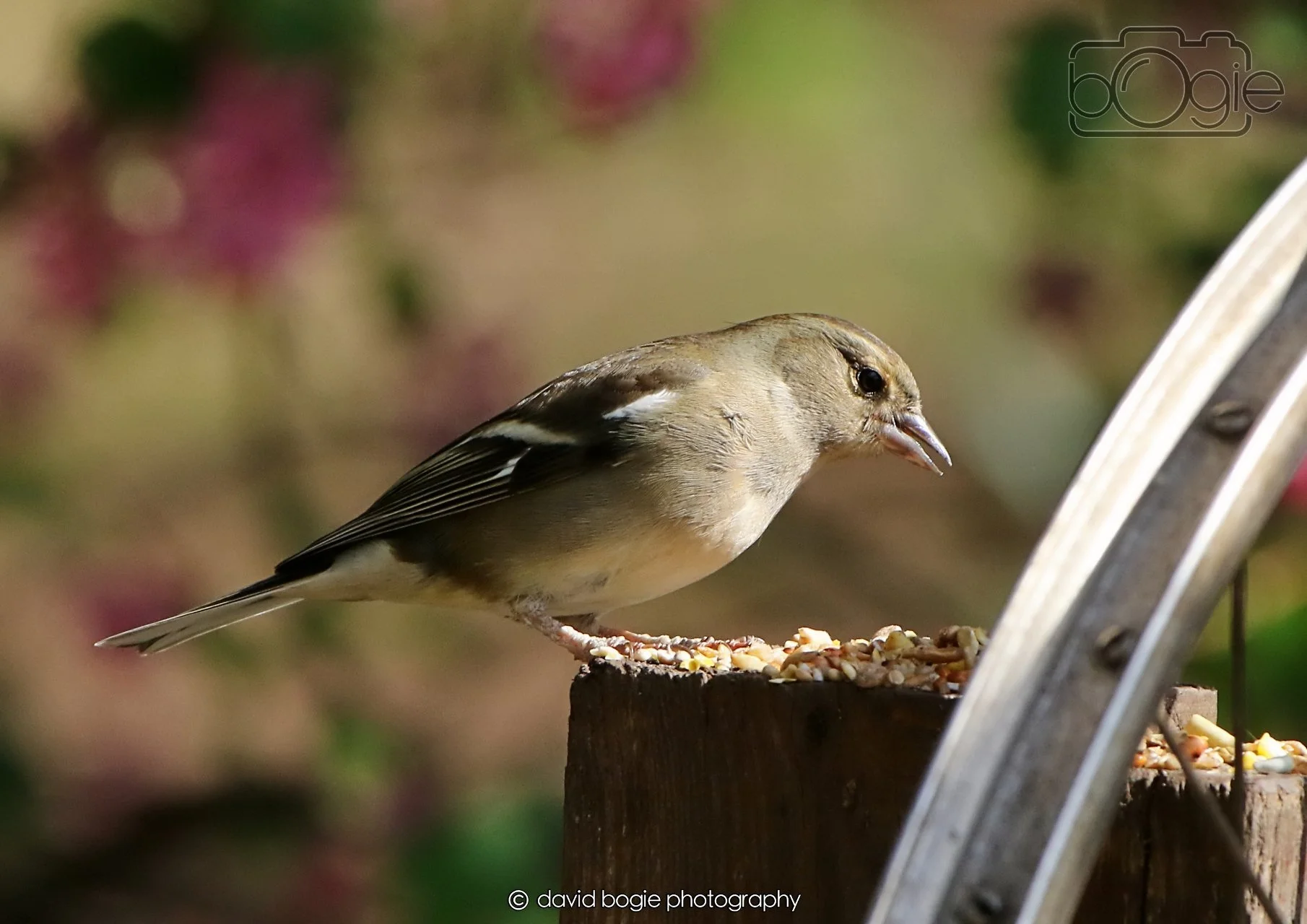 20260402 101910 Silverburn 0157.jpg