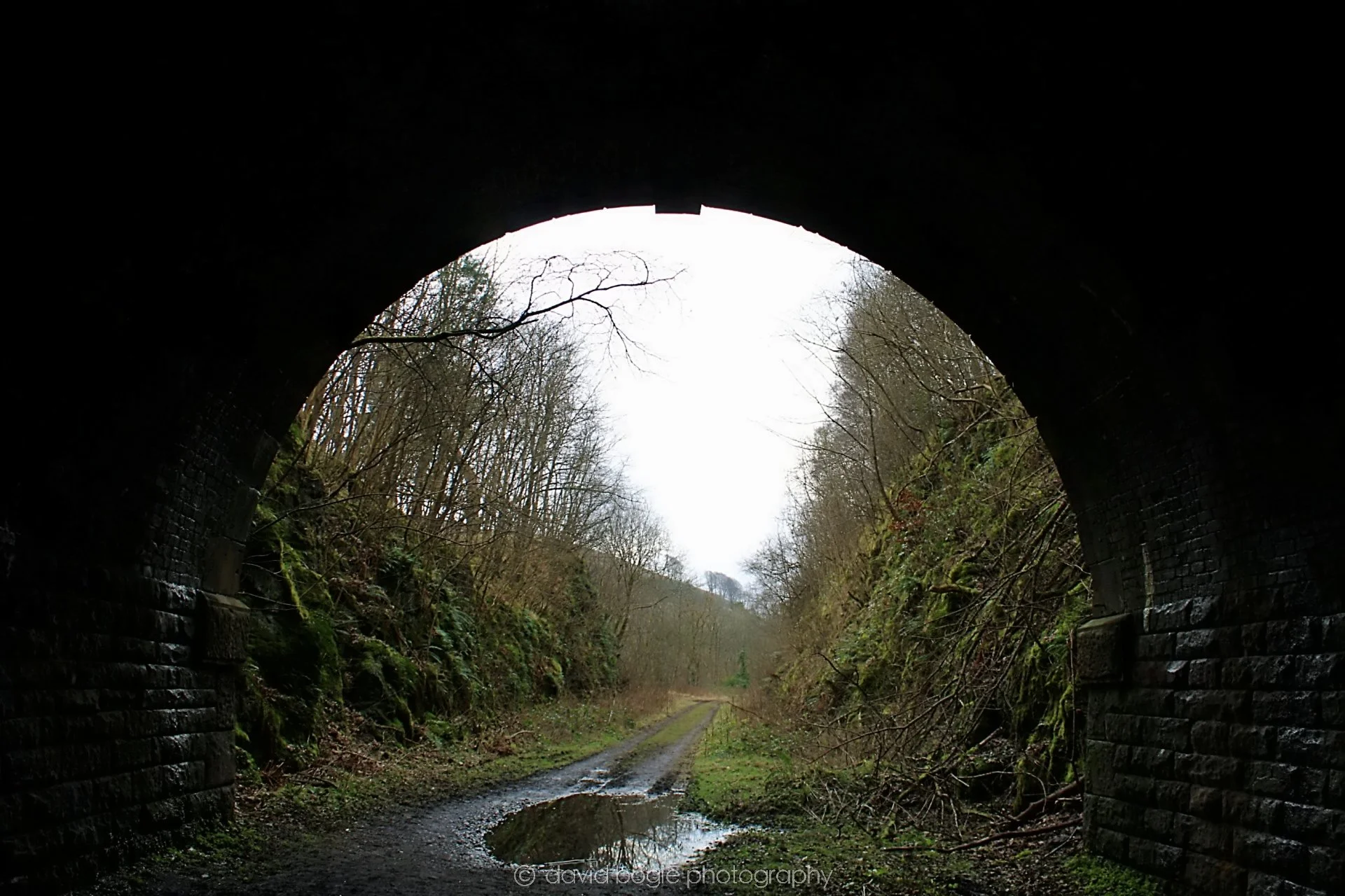 20190219 113917 Glenfarg 0015.jpg