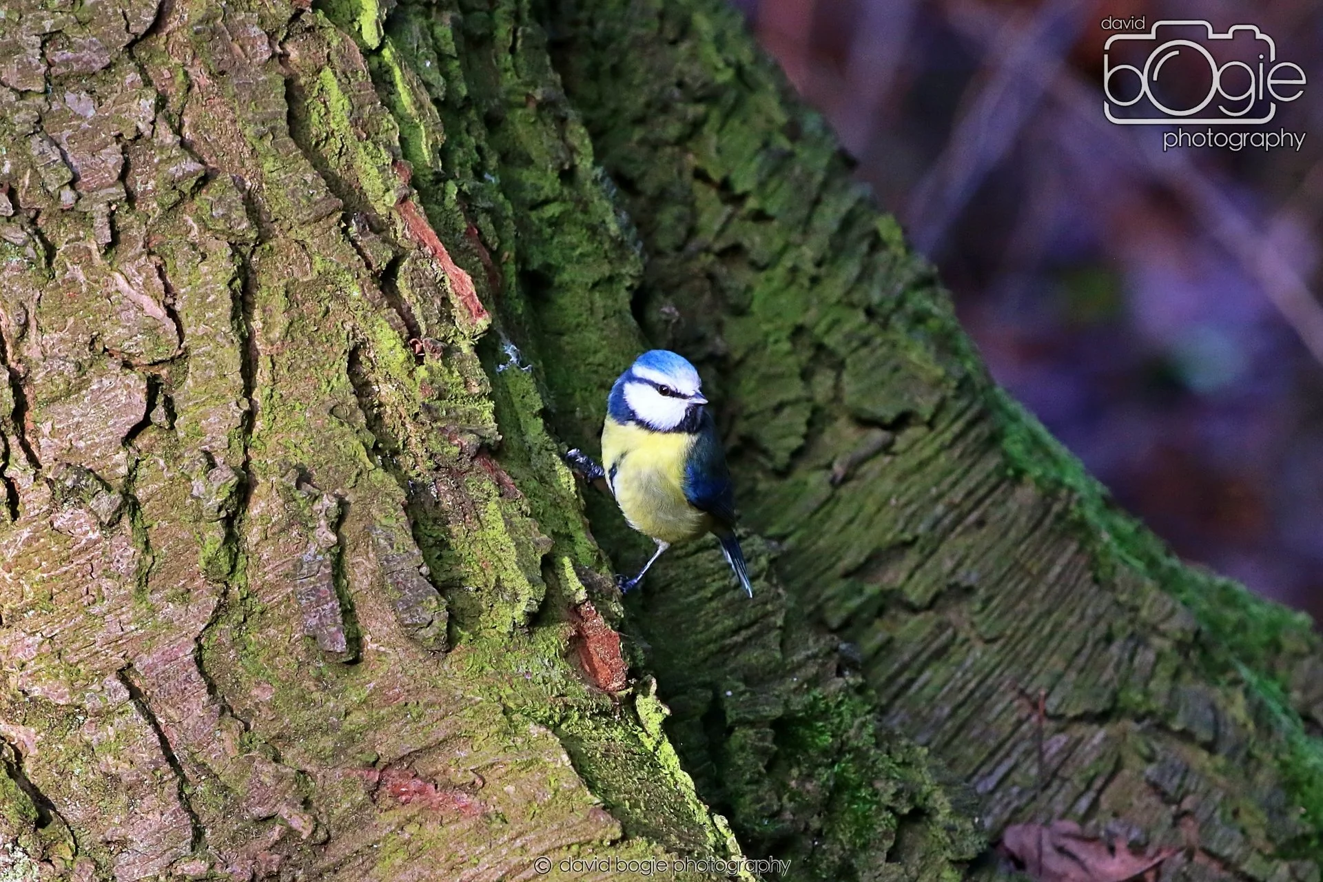 20260128 143719 Dunnikier 0426.JPG